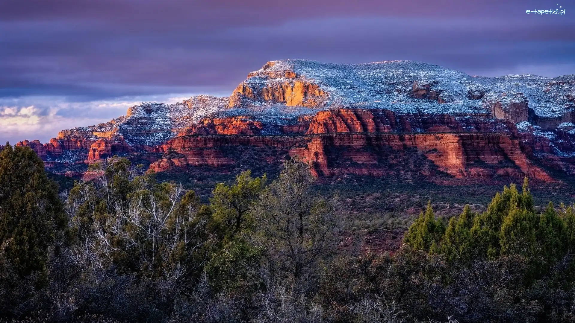 Stan Arizona, Drzewa, Sedona, Stany Zjednoczone, Skały, Czerwone