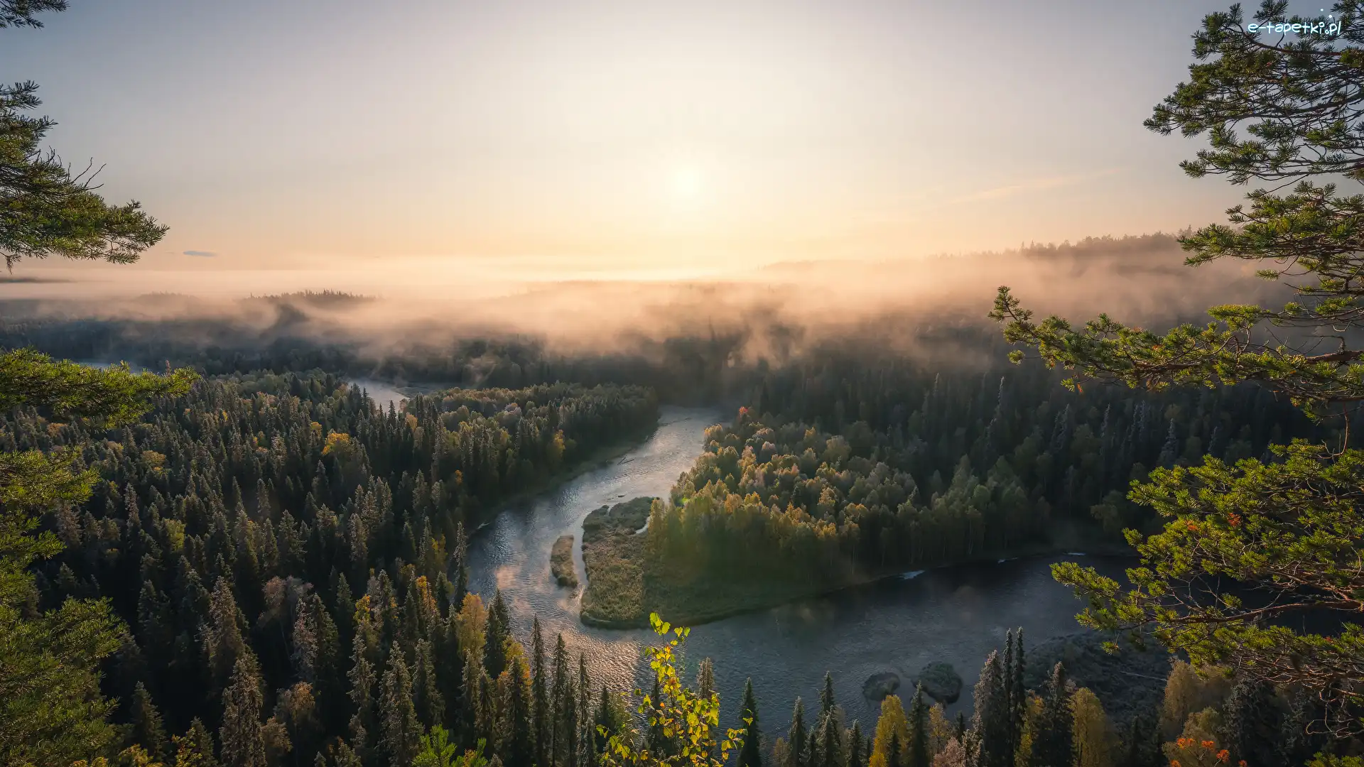 Mgła, Las, Rzeka, Wschód słońca, Park Narodowy Oulanka, Finlandia