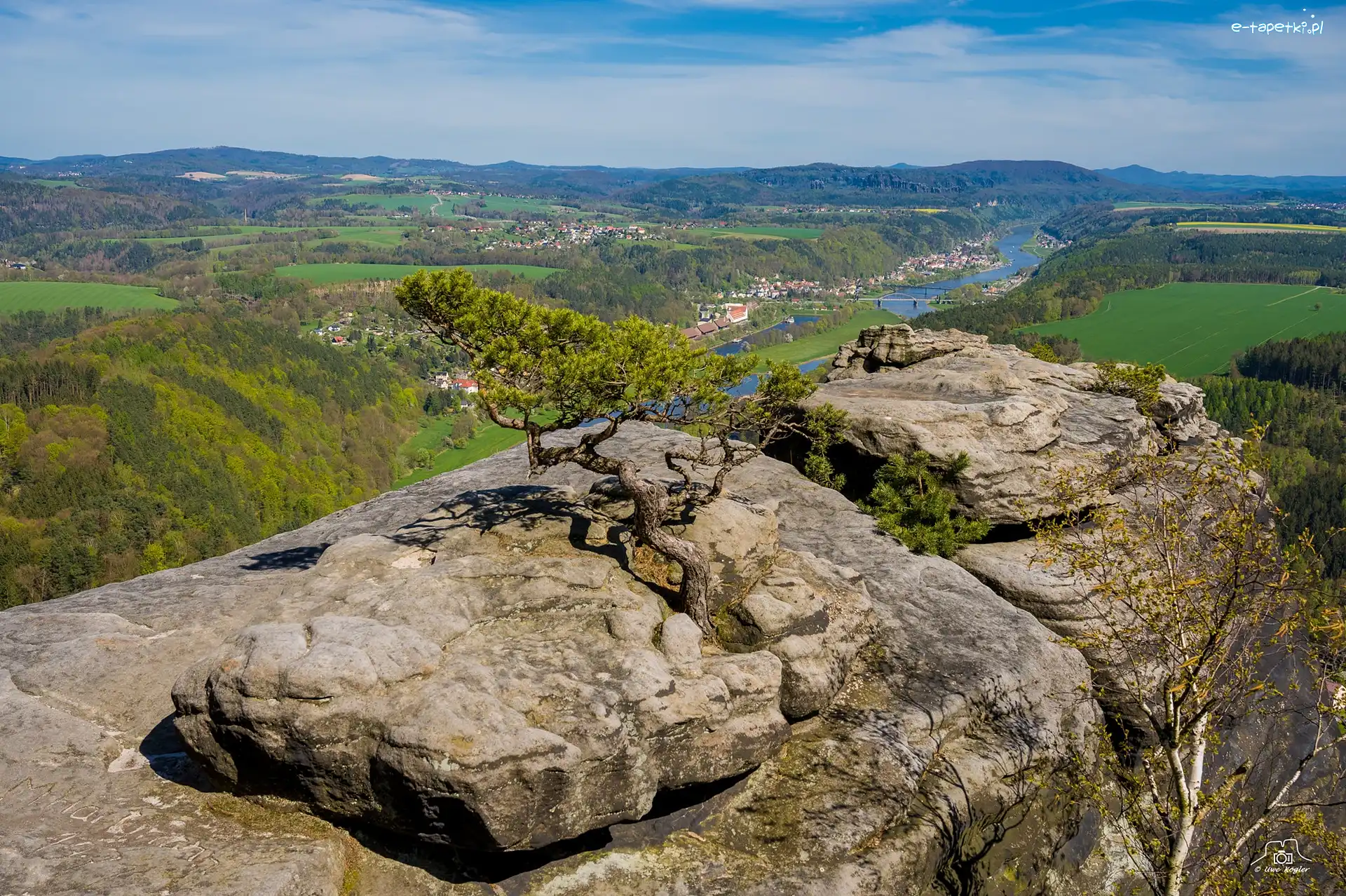 Góra Lilienstein, Skały, Drzewo, Niemcy, Saksońska Szwajcaria