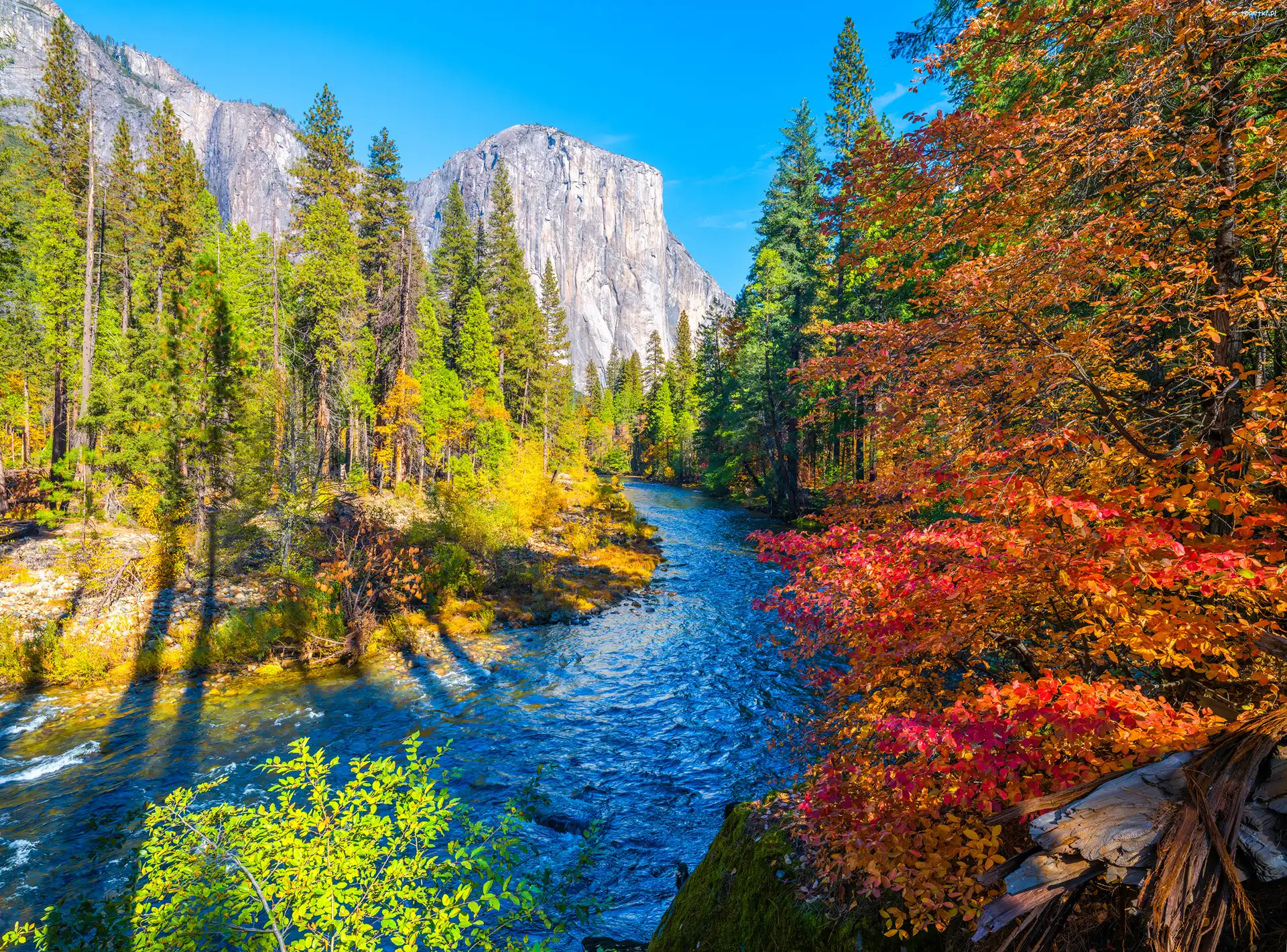 Park Narodowy Yosemite, Jesień, Drzewa, Góry, Kalifornia, Rzeka, Merced River, Stany Zjednoczone