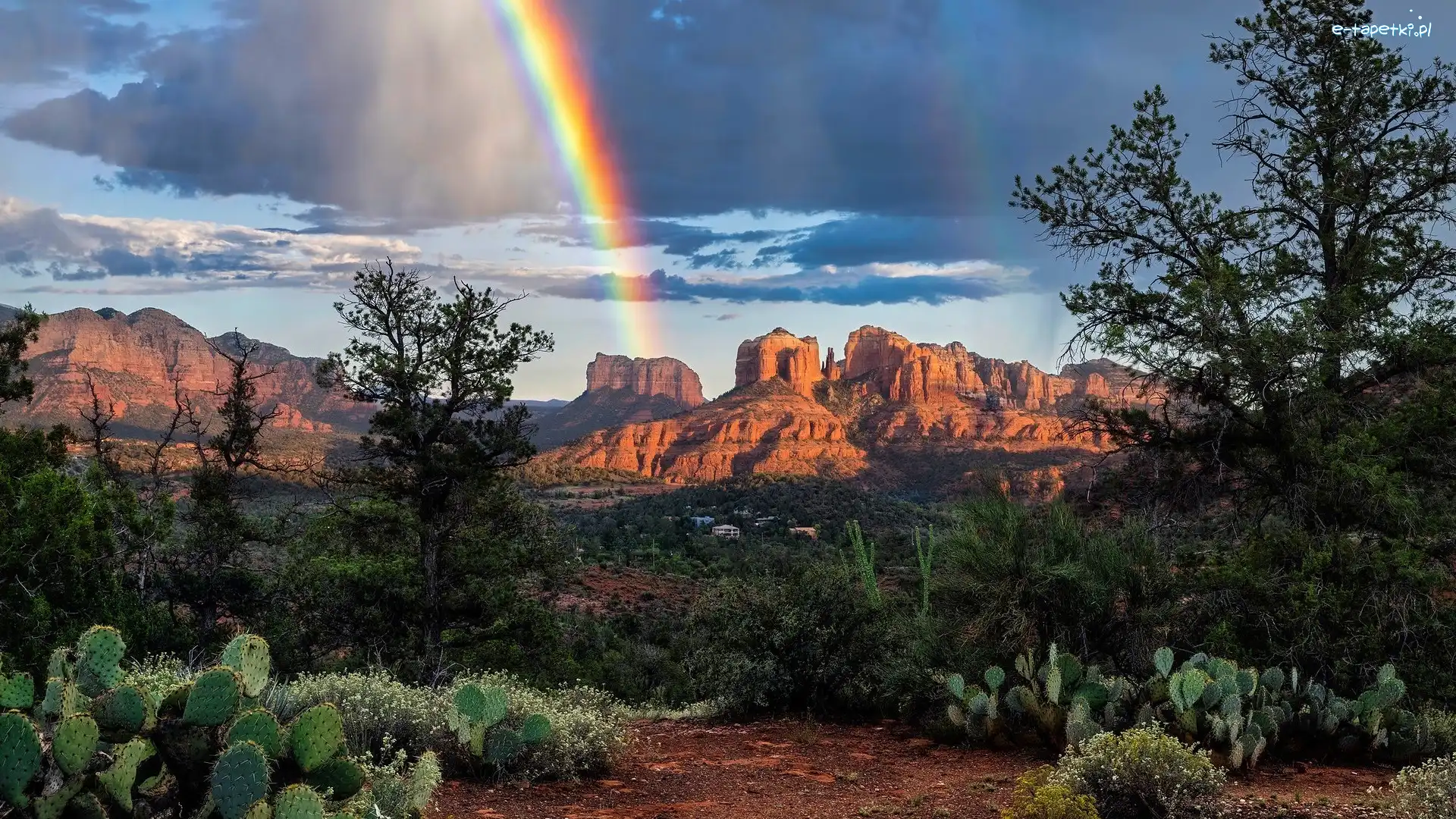 Sedona, Skały, Stany Zjednoczone, Kaktusy, Tęcza, Drzewa, Rośliny, Brązowe, Cathedral Rock, Arizona