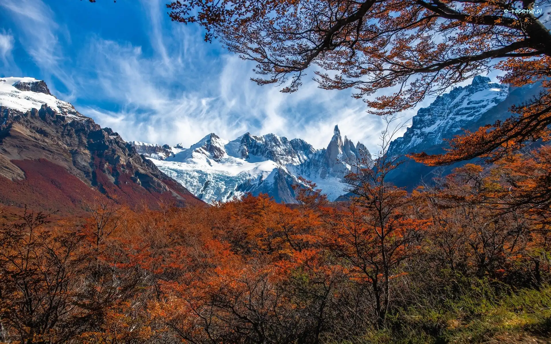 Drzewa, El Chalten, Góry, Patagonia, Argentyna, Jesień, Mount Fitz Roy