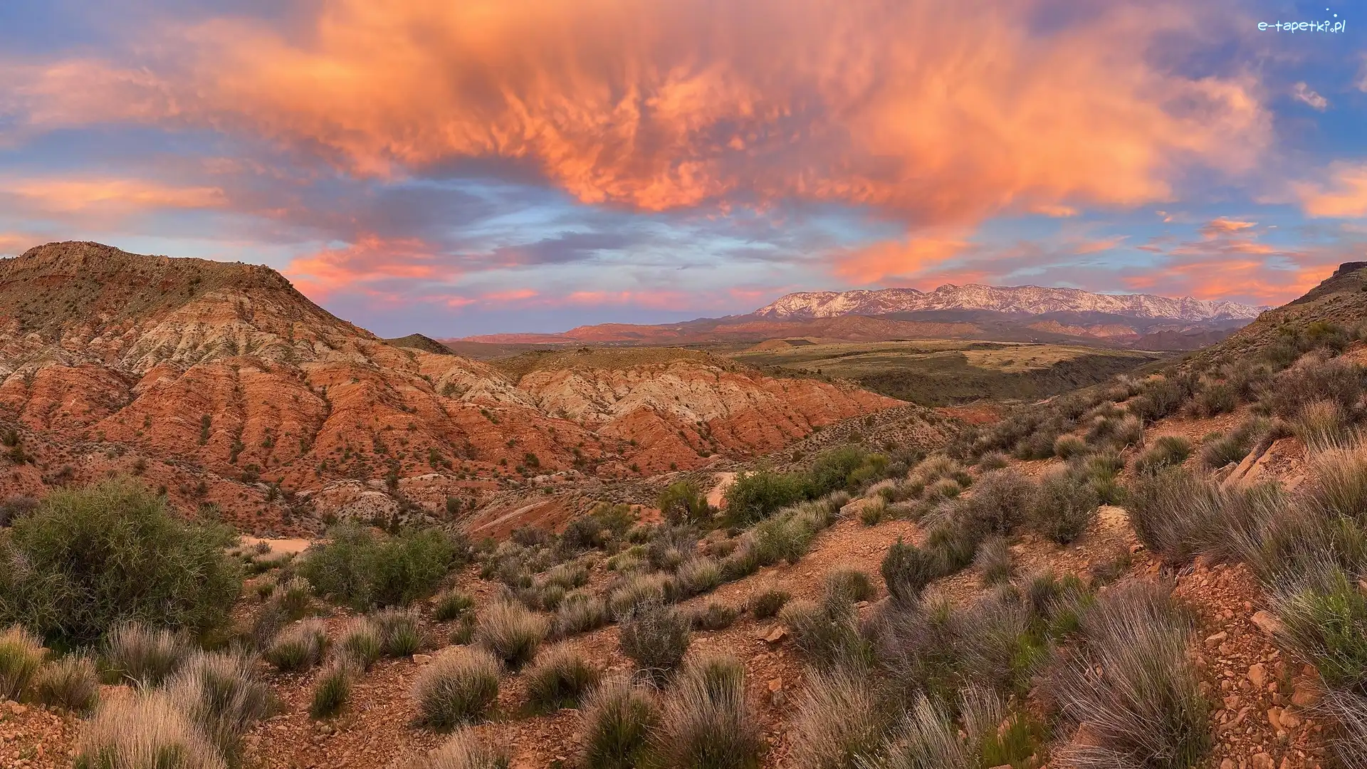 Stany Zjednoczone, Pine Valley Mountain, Kępki, Góry, Skały, Utah, Trawy