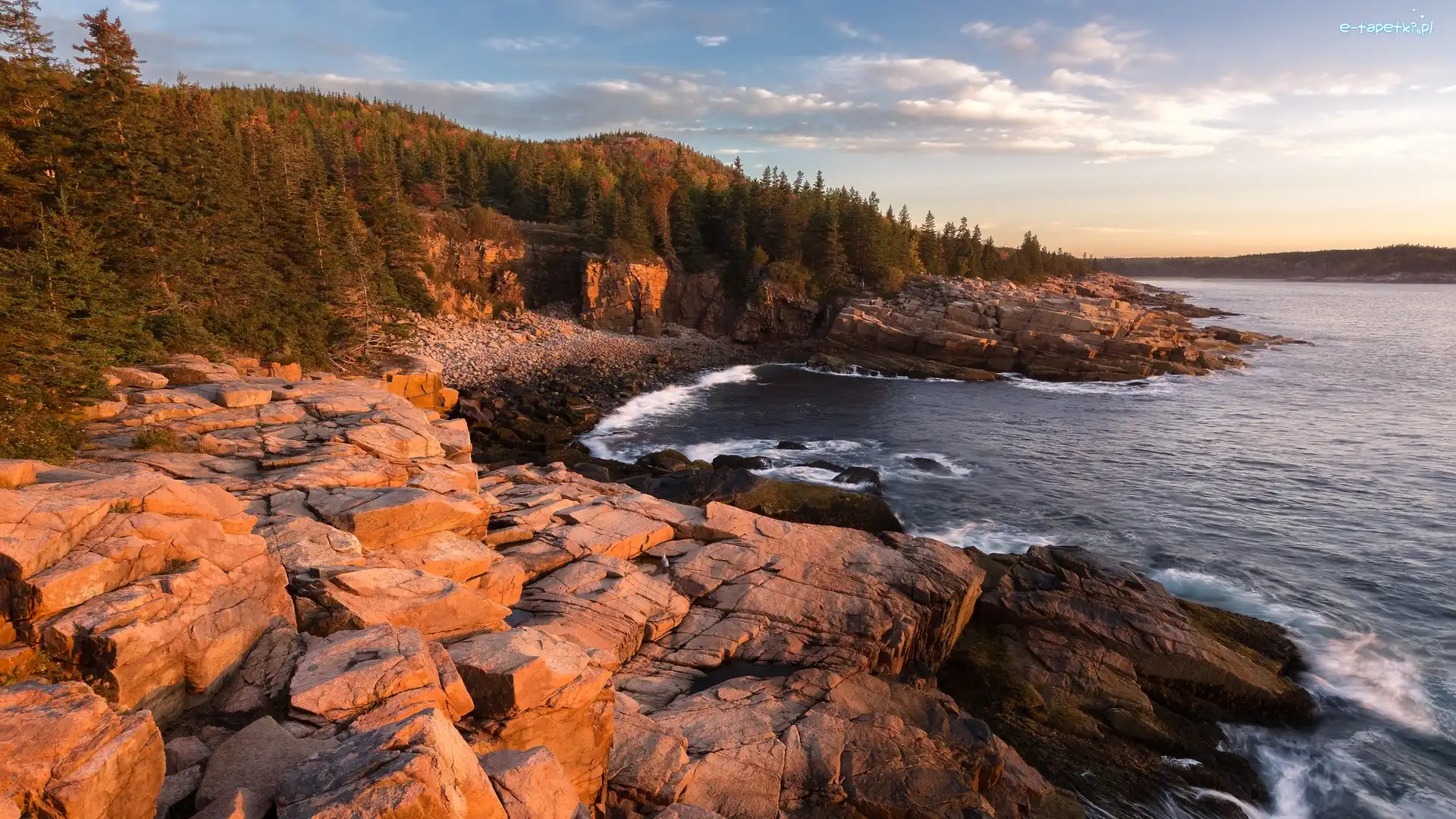 Stany Zjednoczone, Drzewa, Park Narodowy Acadia, Skały, Morze, Maine, Stan