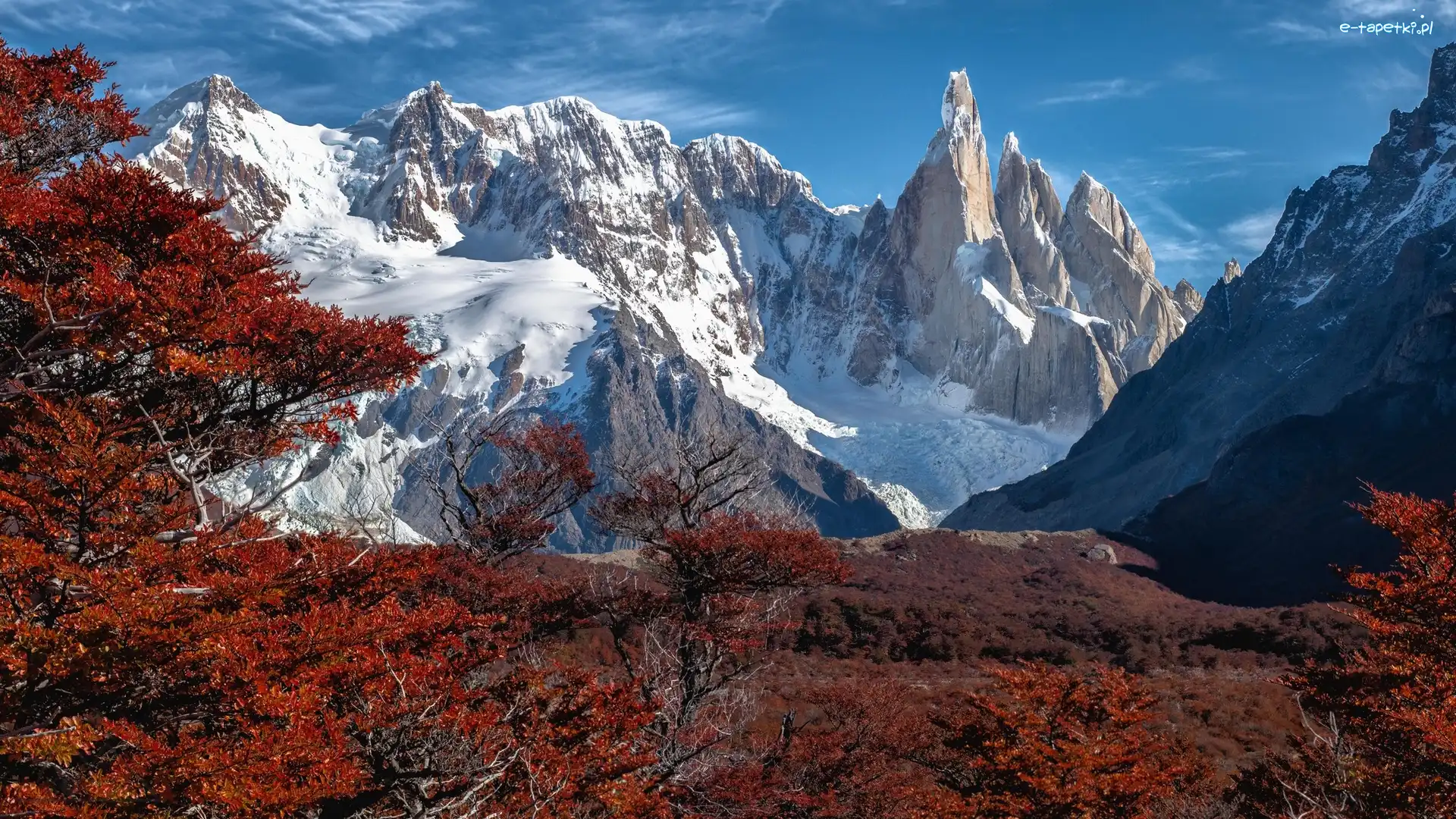 Drzewa, Góry, Andy, Patagonia, Argentyna, Jesień, Ośnieżone