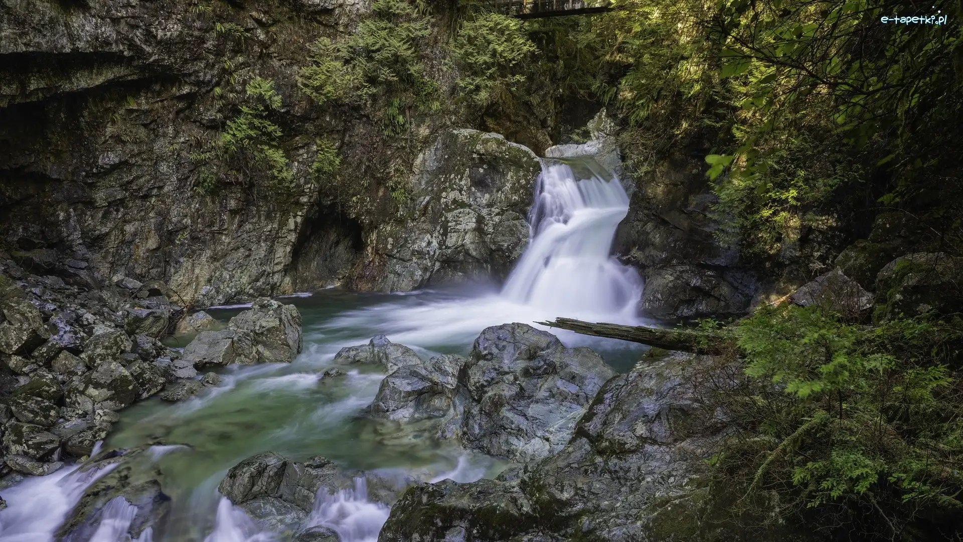Park Narodowy Yoho, Rzeka, Skały, Twin Falls, Wodospad, Kanada, Rośliny