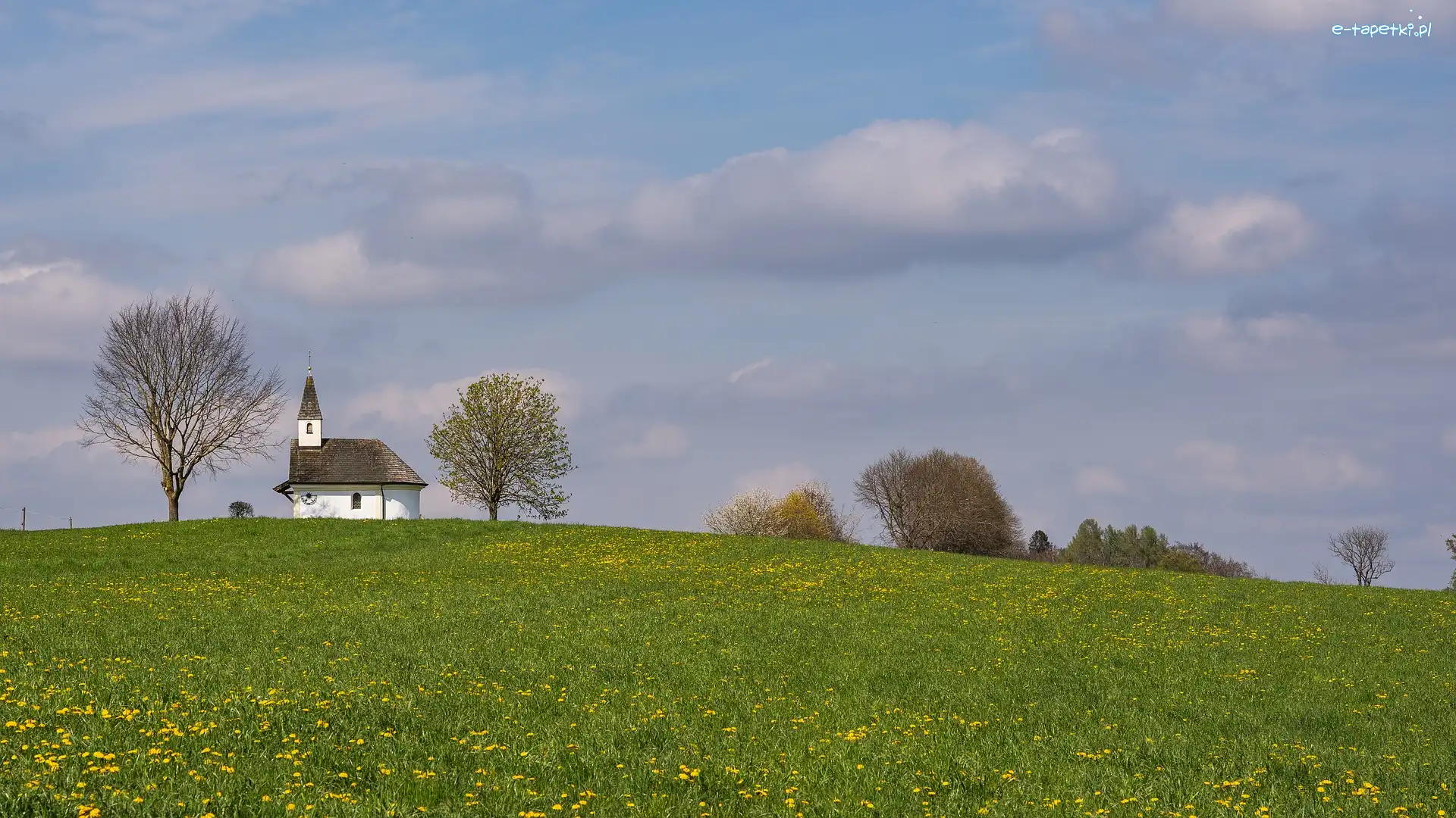 Wiosna, Kaplica, Drzewa, Kościół, Wzgórze, Kwiaty, Łąka