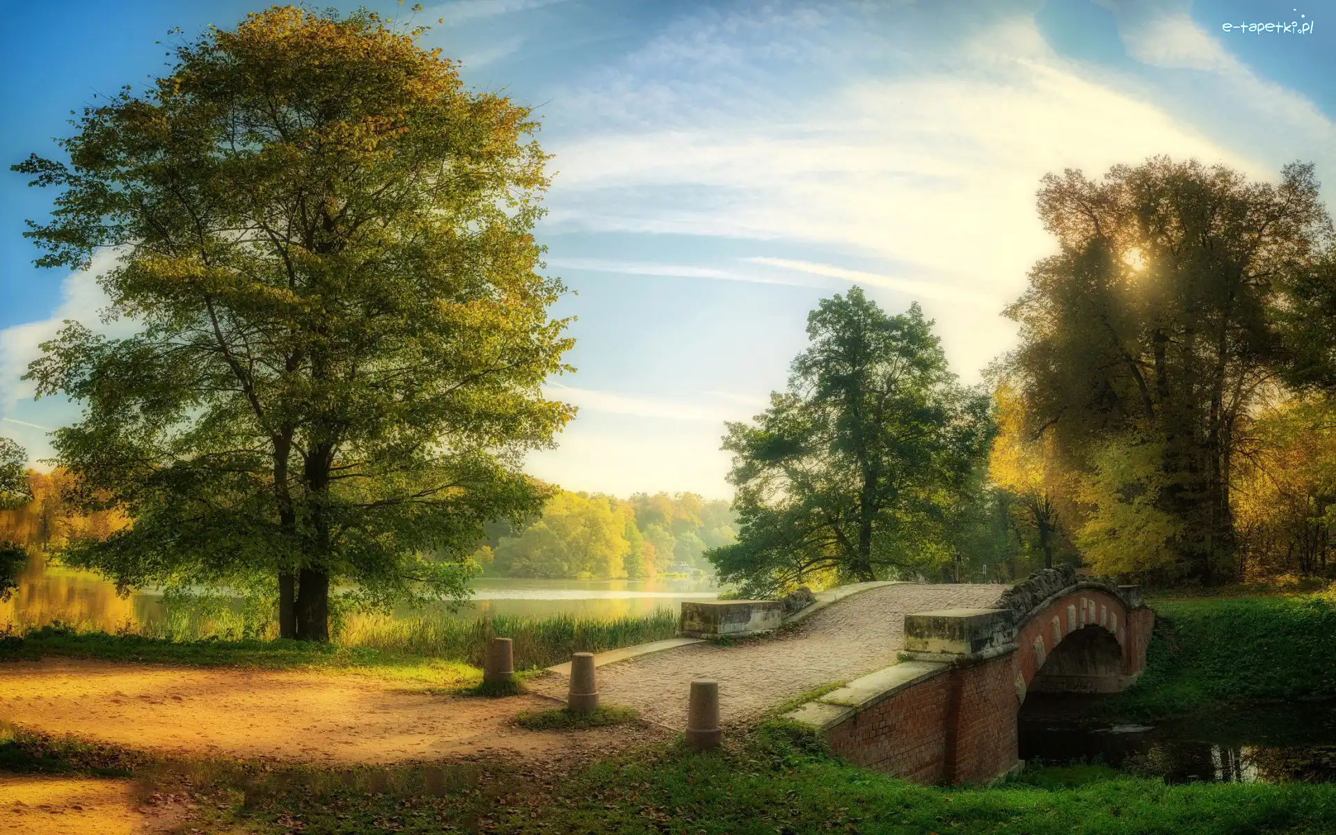 Most, Drzewa, Jesień, Słoneczny blask, Staw, Mgła, Niebo, Park