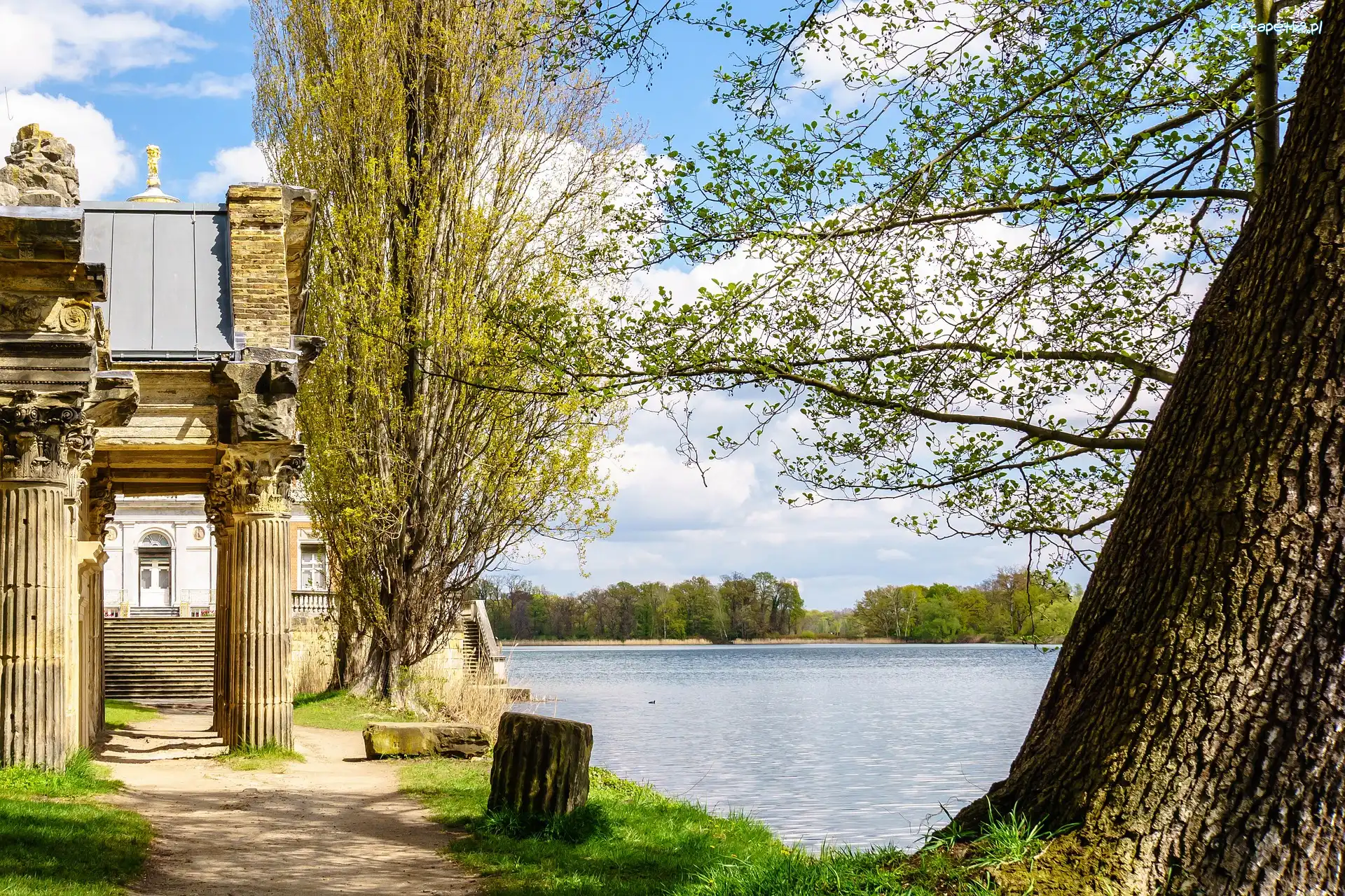 Pałac Marmurowy, Jezioro Heiligersee, Drzewa, Niemcy, Poczdam