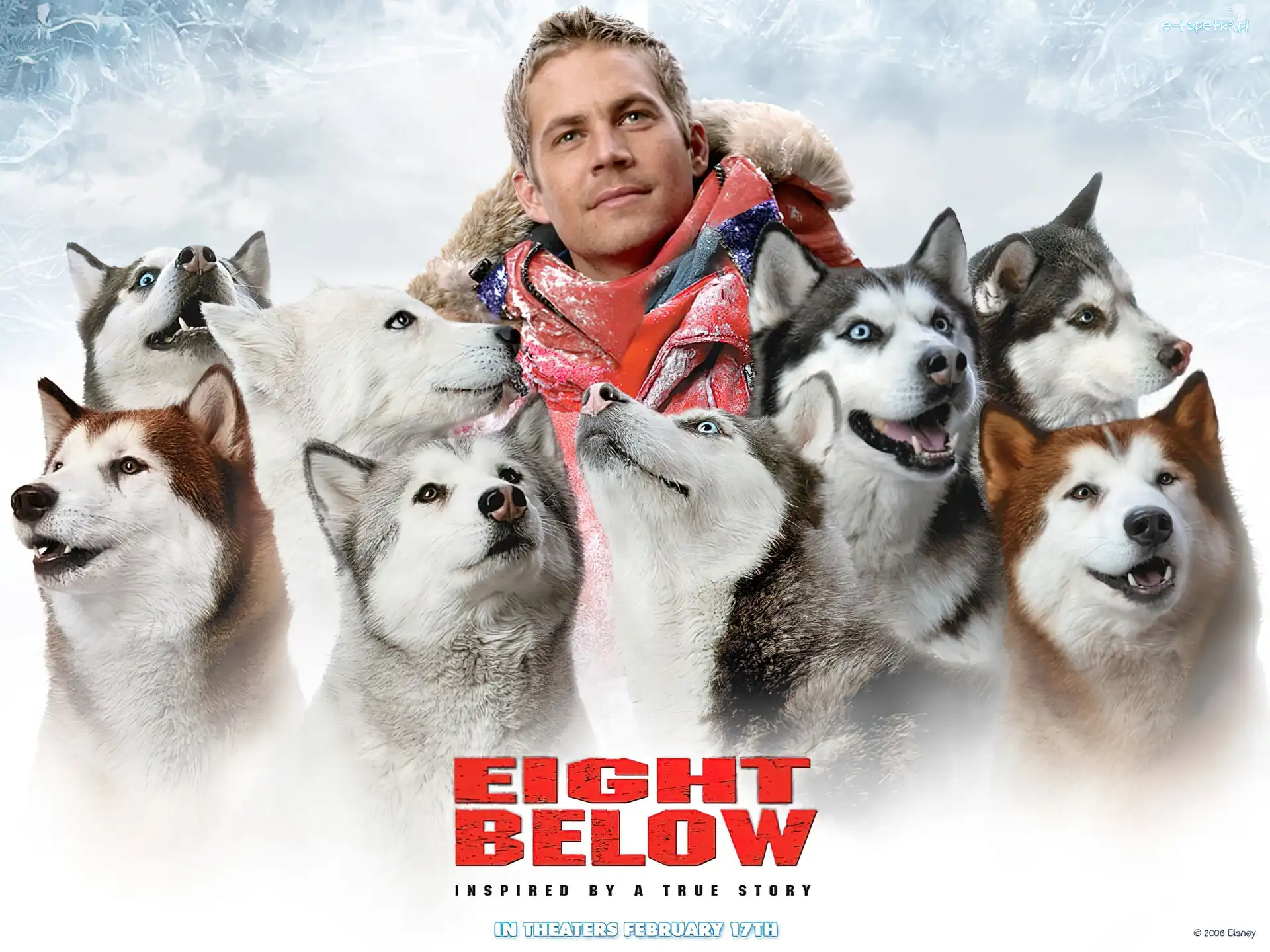 psy, Paul Walker, Eight Below
