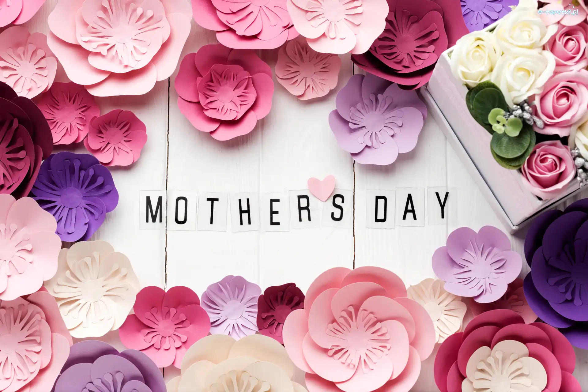 Deski, Mothers Day, Kolorowe, Napis, Dzień Matki, Białe, Róże