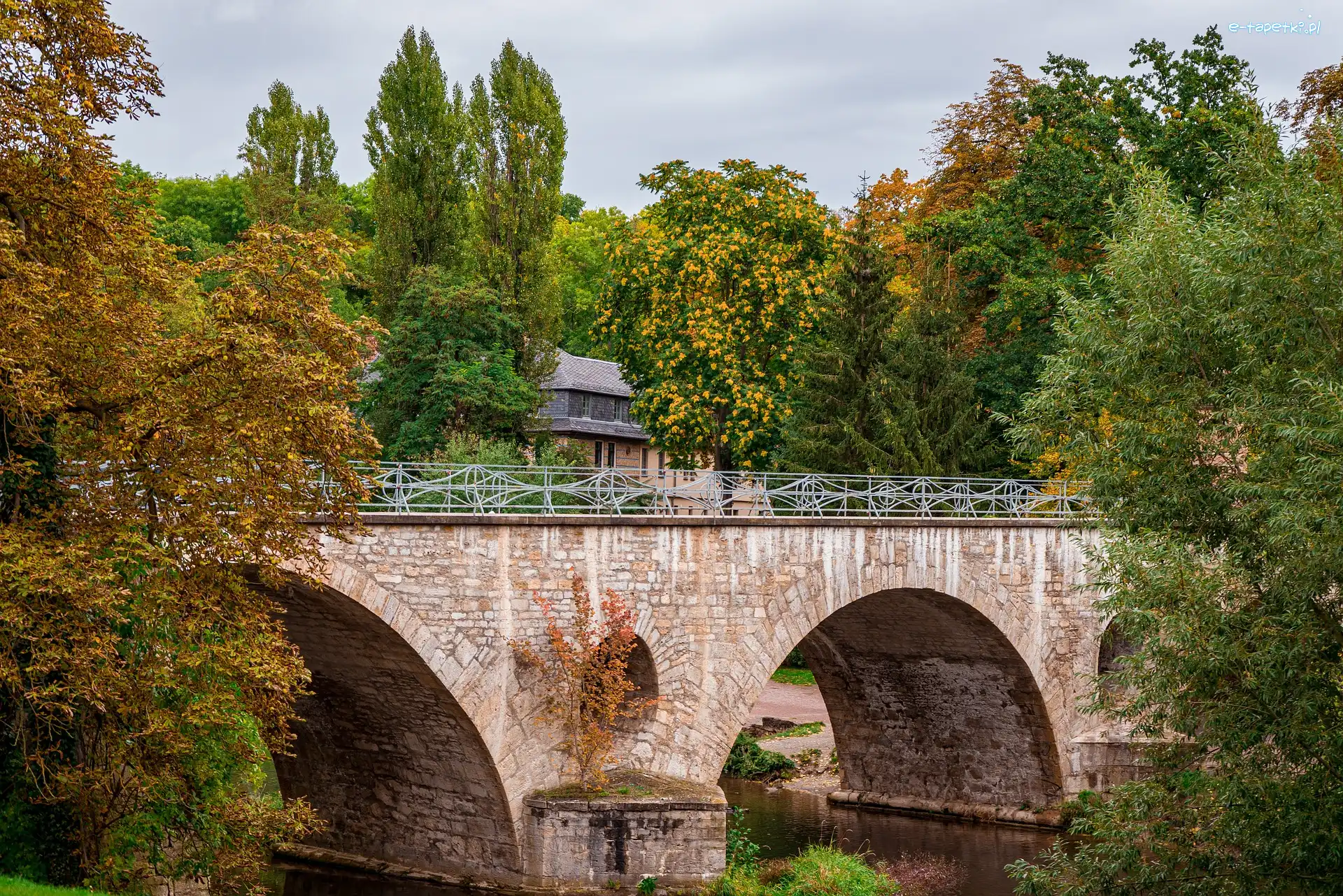 Rzeka, Drzewa, Jesień, Most