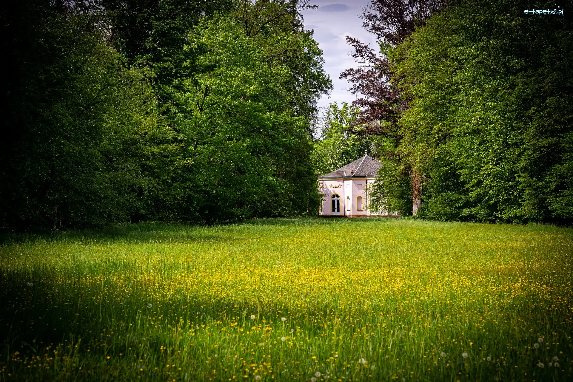 Domek, Drzewa, Pawilon, Zieleń, Łąka, Park