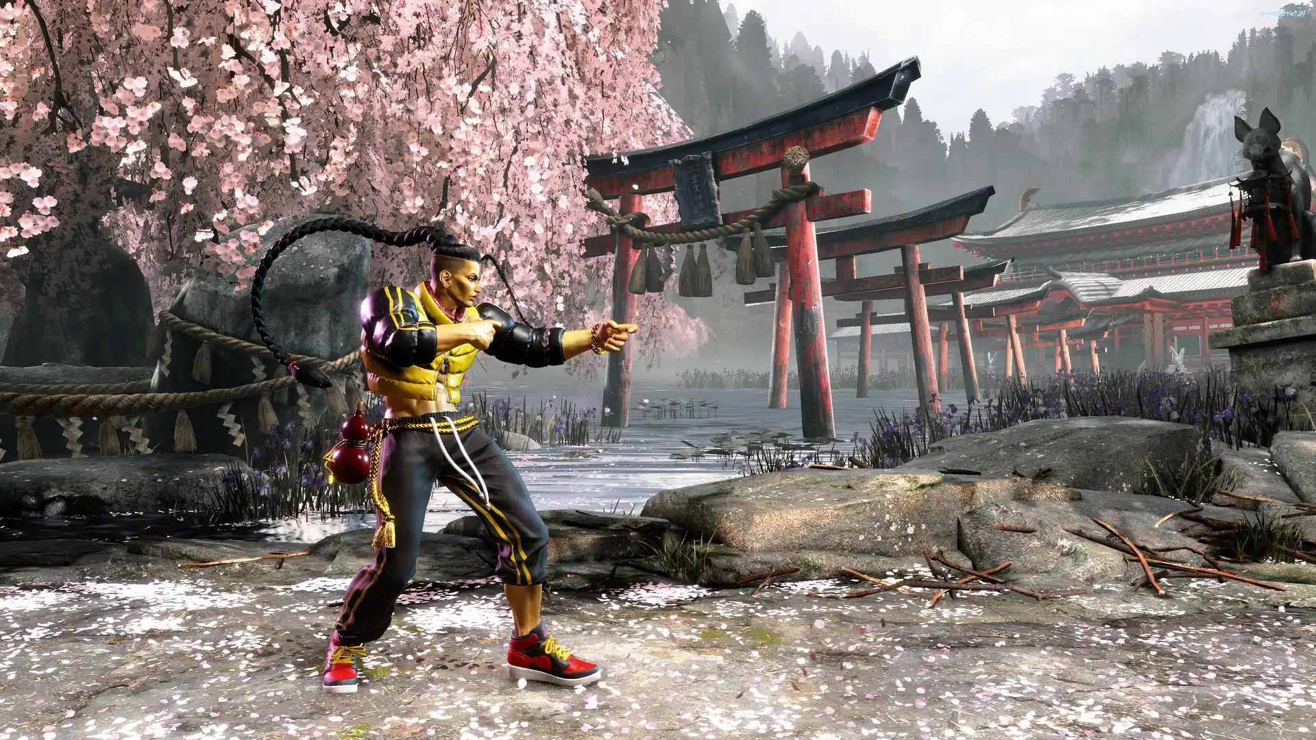 Street Fighter 6, Gra, Postać