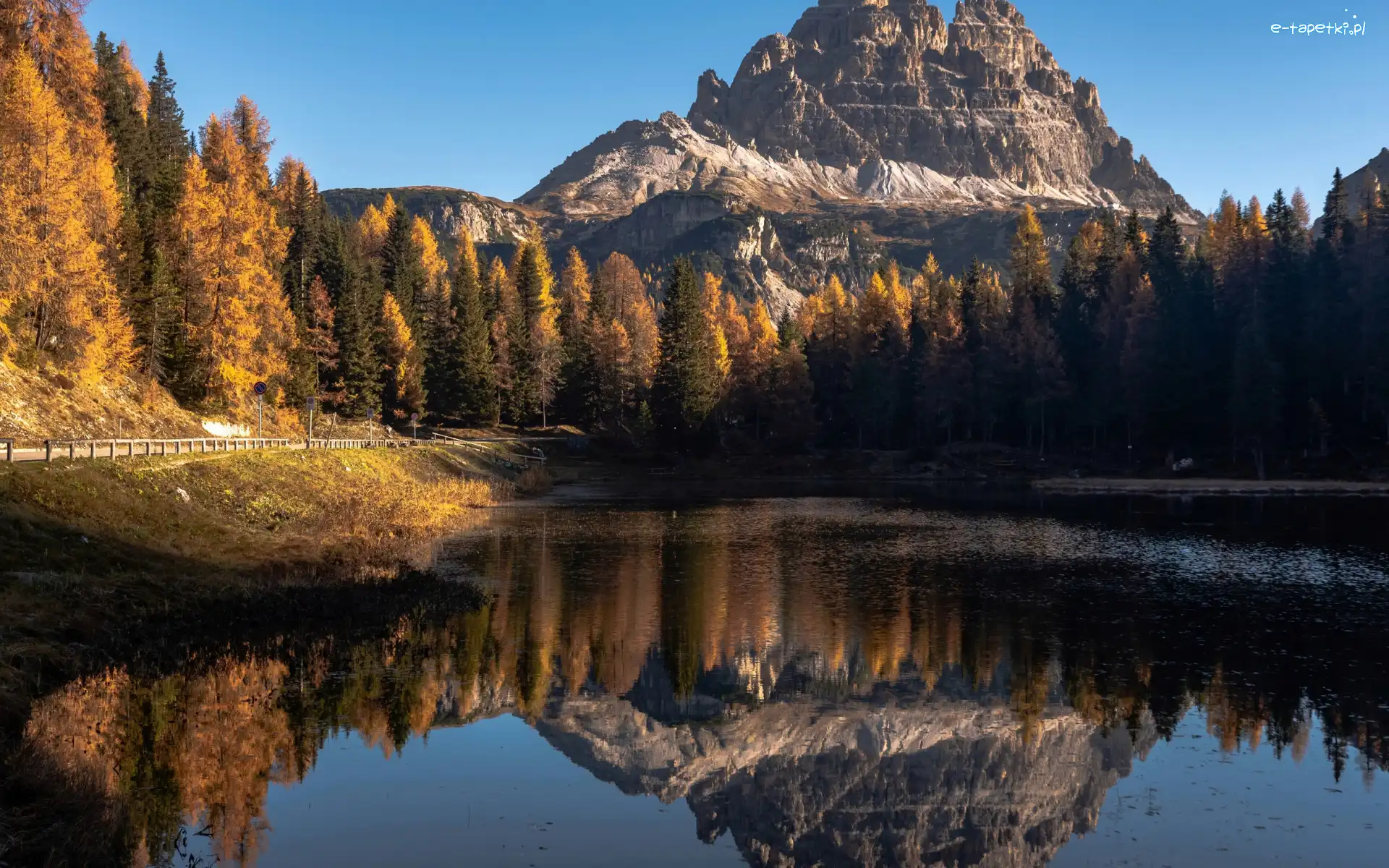 Antorno Lake, Góry, Włochy, Jezioro, Las, Pożółkłe, Drzewa, Jesień, Dolomity, Odbicie