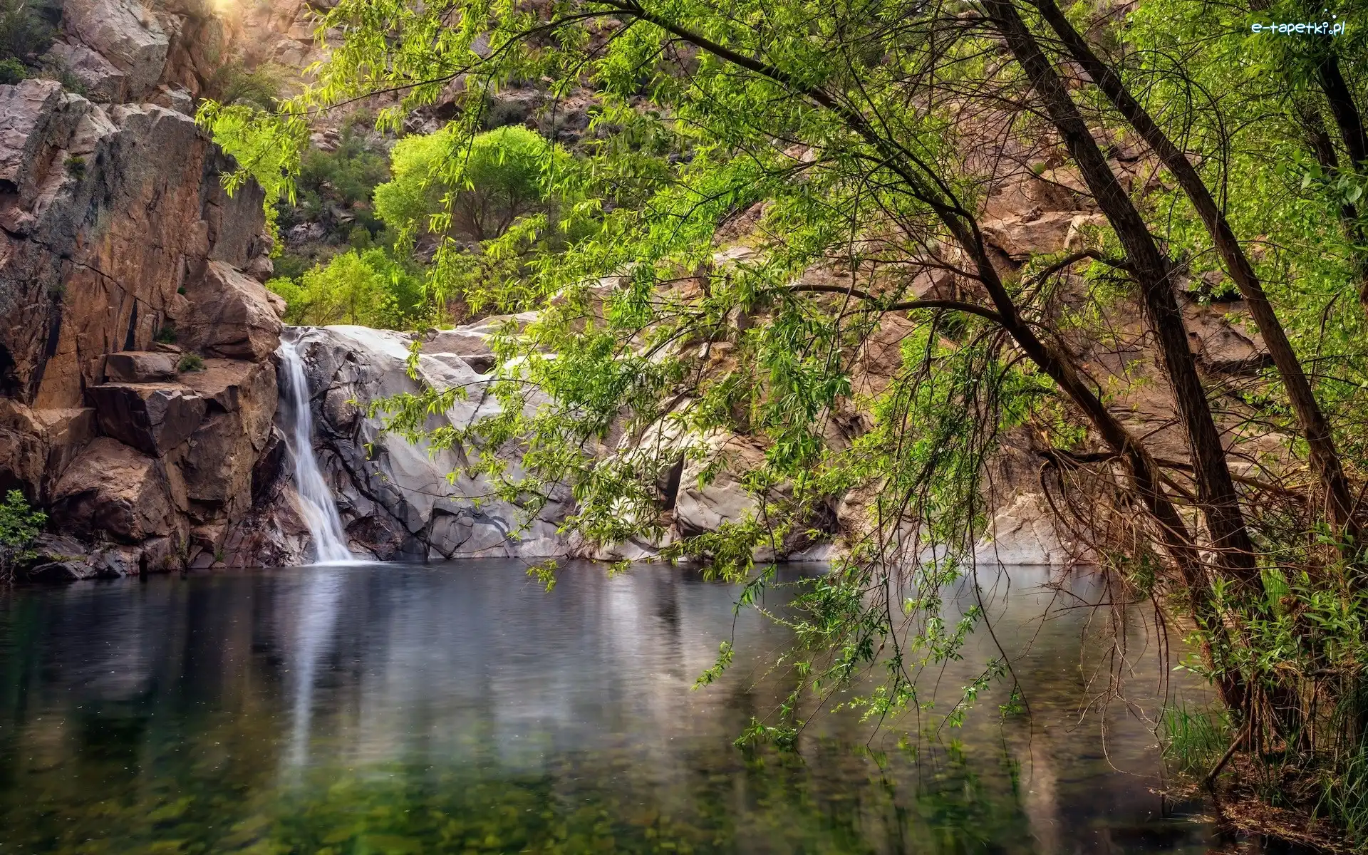Castle Creek Wilderness, Skały, Drzewa, Arizona, Stany Zjednoczone, Oasis, Wodospad