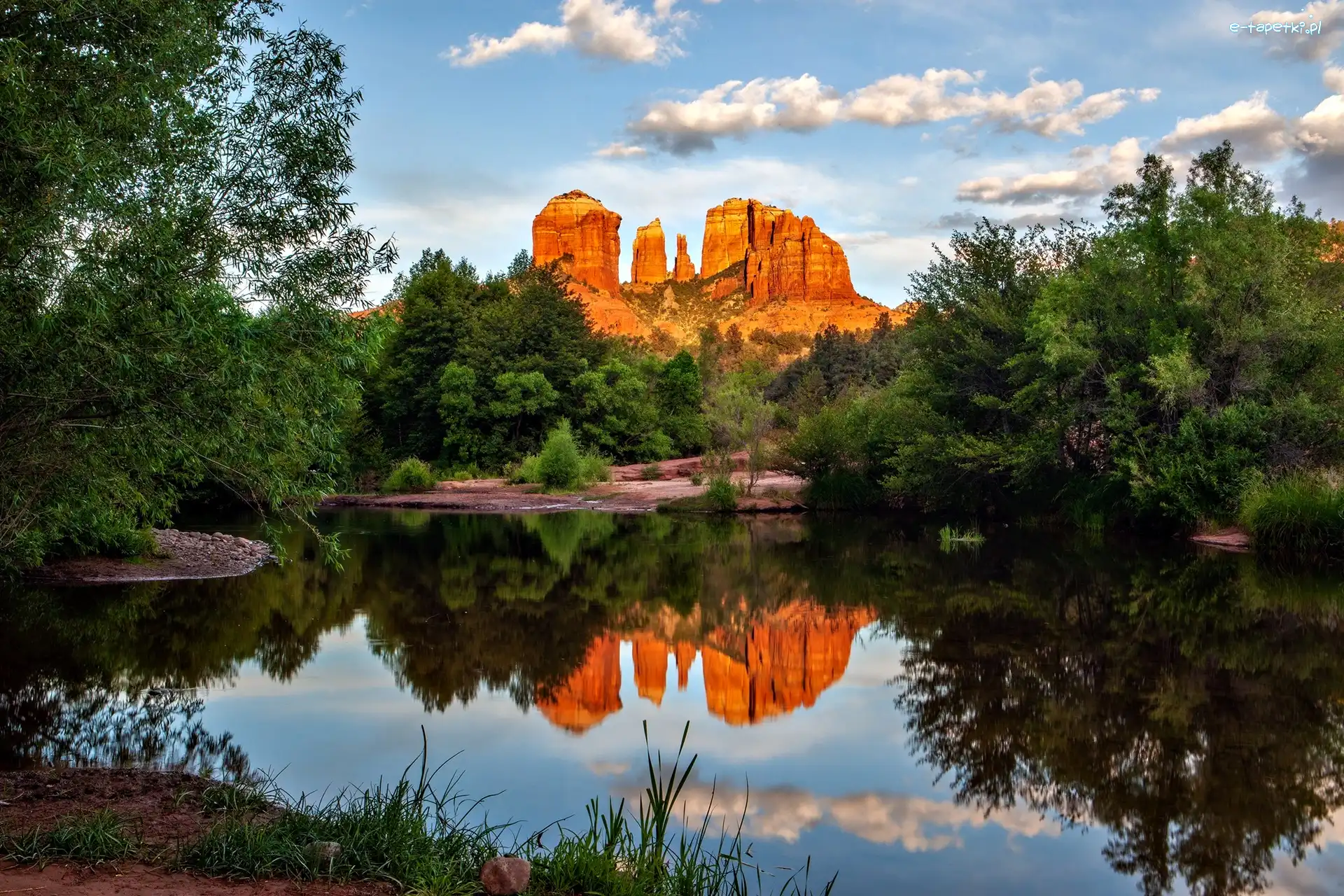 Drzewa, Oak Creek, Odbicie, Skały, Cathedral Rock, Stany Zjednoczone, Arizona, Rzeka, Sedona