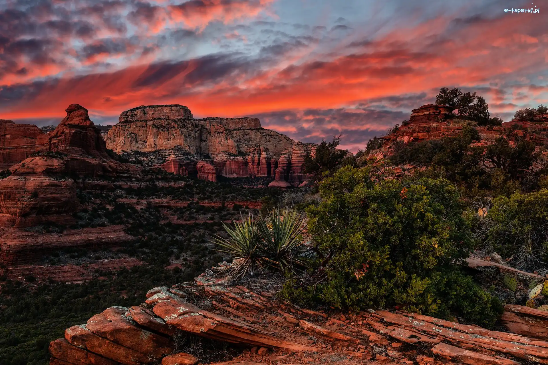 Drzewa, Maroon Peak, Góry, Skały, Stany Zjednoczone, Szczyt, Maroon Bells, Kolorowe, Skaliste, Rośliny, Niebo, Arizona, Sedona