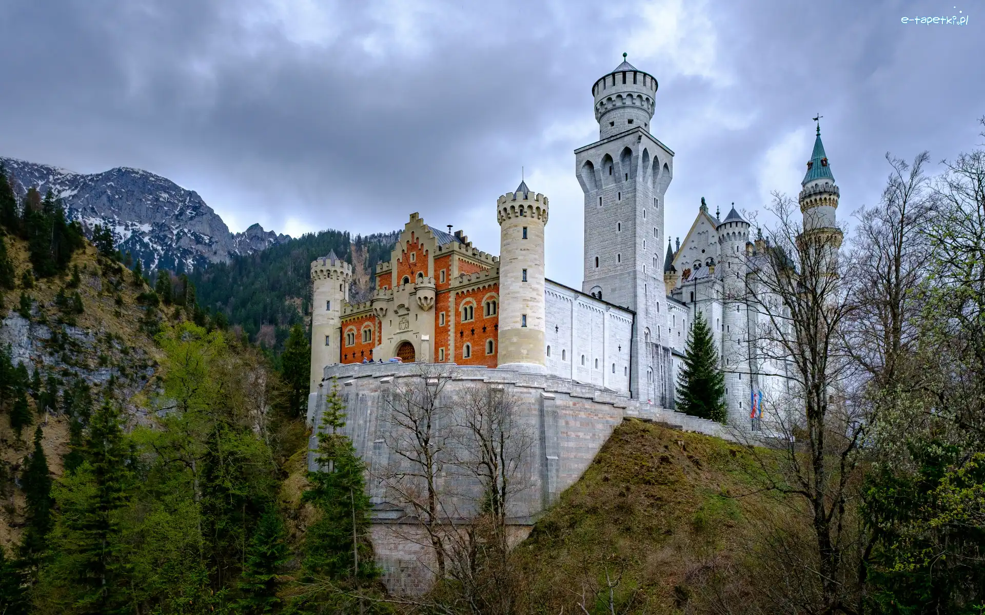 Drzewa, Alpy Bawarskie, Niemcy, Bawaria, Zamek Neuschwanstein, Chmury, Gmina Schwangau, Góry