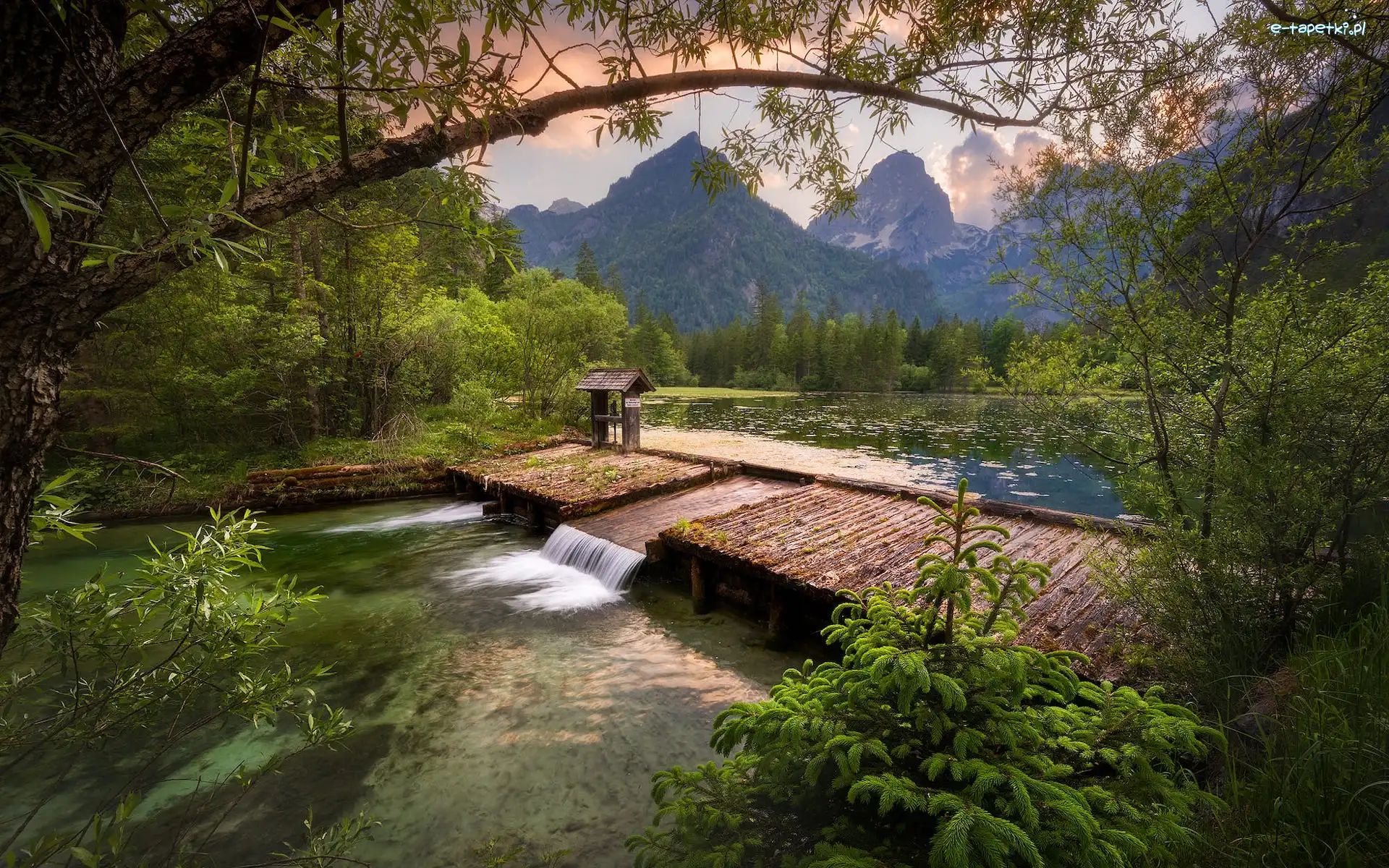 Drzewa, Jezioro, Schiederweiher, Zapora, Góry, Austria