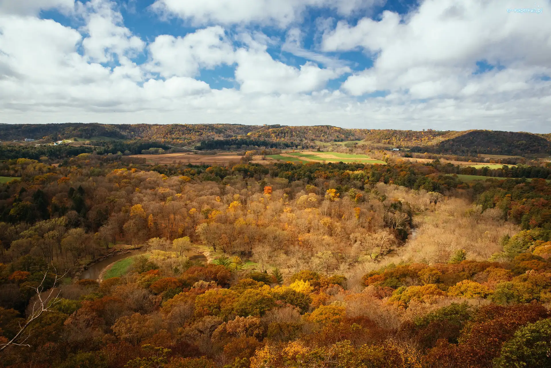 Drzewa, Wisconsin, Chmury, Pożółkłe, Jesień, Wzgórza, Las, Stany Zjednoczone, Wildcat Mountain State Park, Niebo