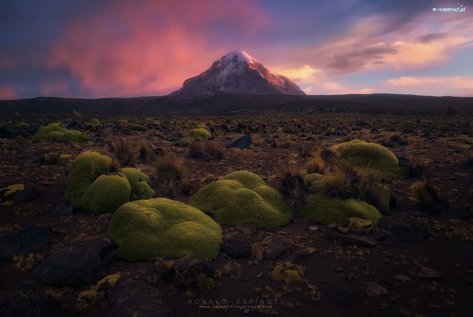 Omszałe, Góra, Kamienie, Boliwia, Park Narodowy Sajama