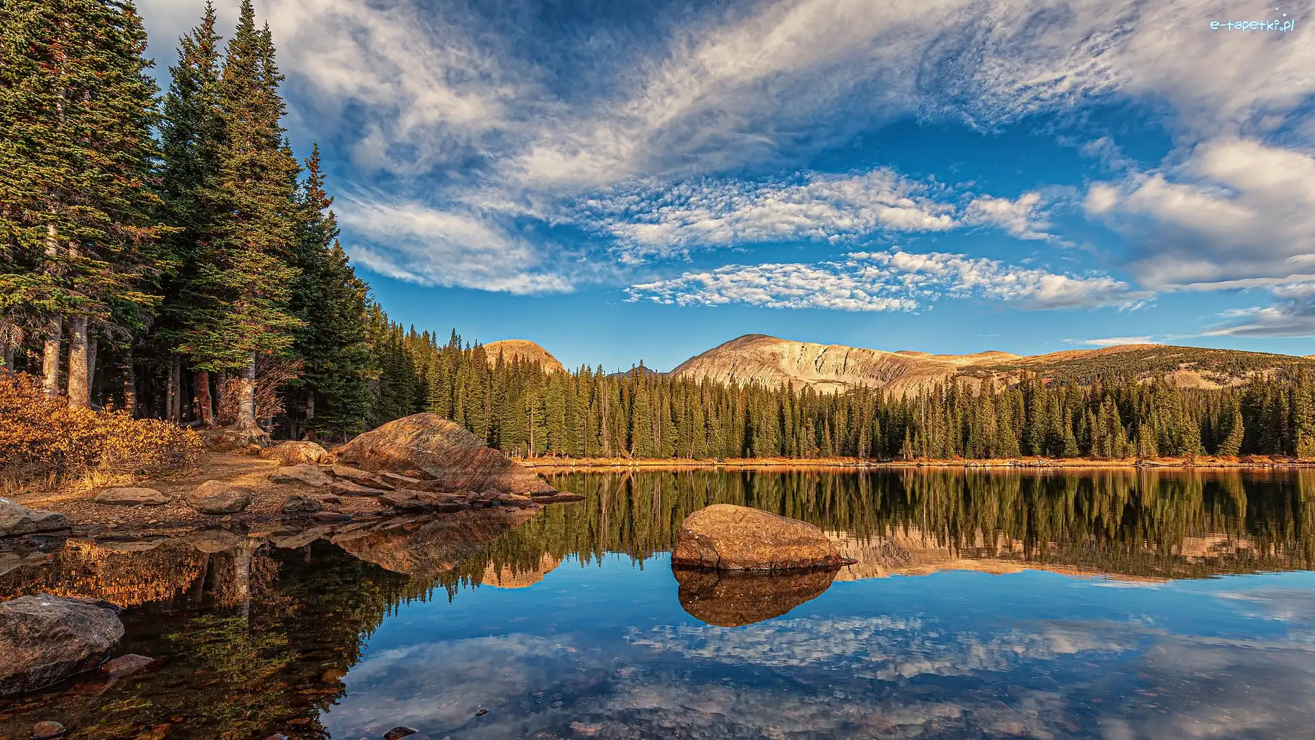 Stany Zjednoczone, Kamienie, Jezioro, Drzewa, Las, Kolorado, Brainard Lake