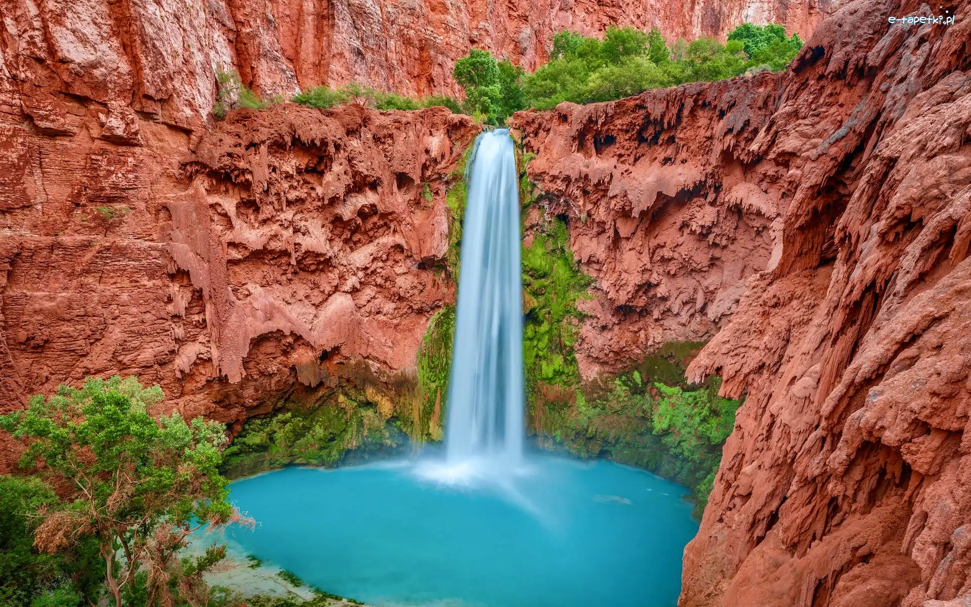Wielki Kanion Kolorado, Arizona, Havasu Falls, Wodospad, Park Narodowy Wielkiego Kanionu, Drzewa, Skały, Stany Zjednoczone