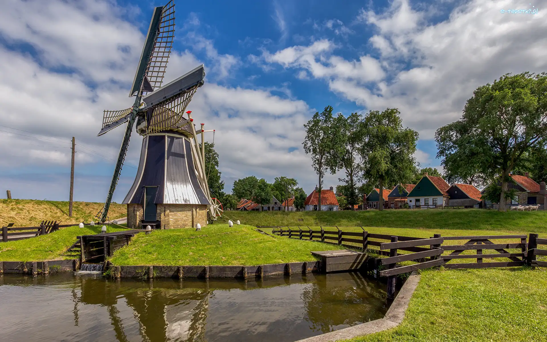 Drzewa, Kanał wodny, Wiatrak, Enkhuizen, Holandia, Domy, Płot