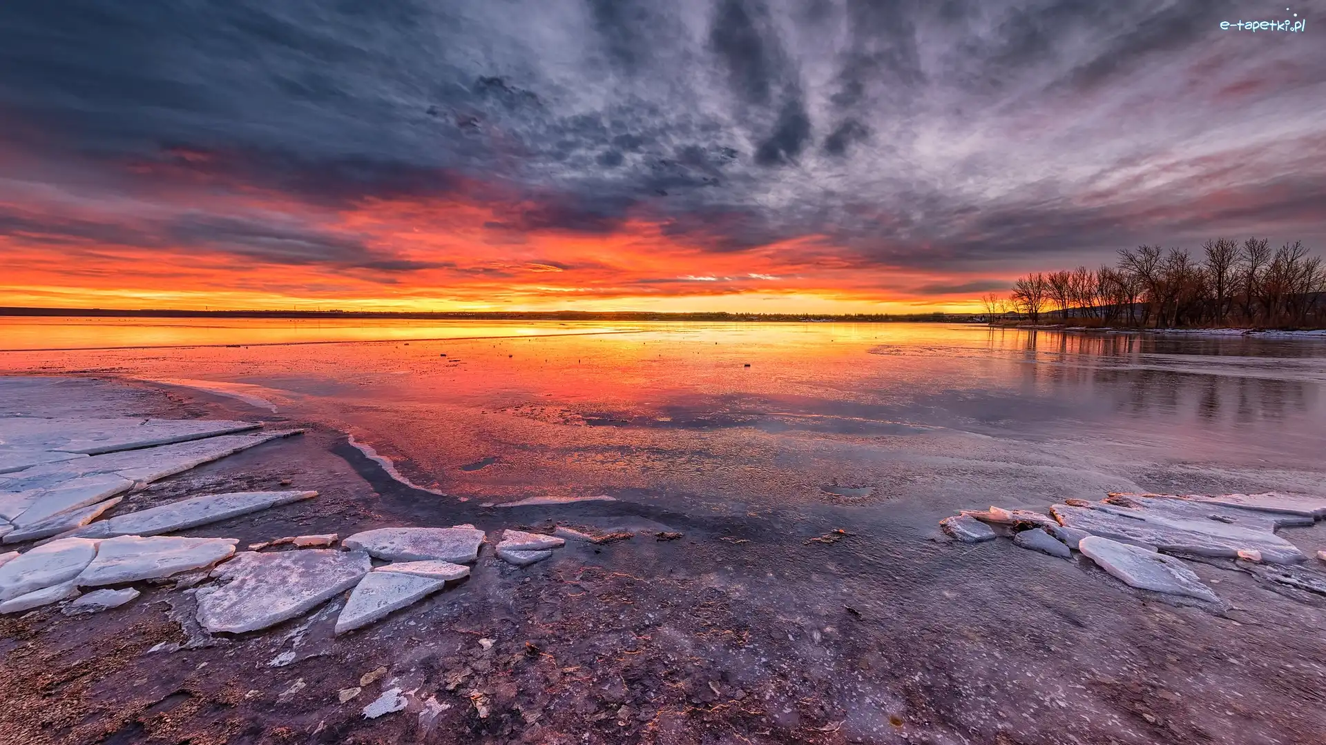 Chatfield Lake, Jezioro, Park stanowy, Kolorado, Stany Zjednoczone, Zima, Wschód słońca, Chatfield State Park, Drzewa