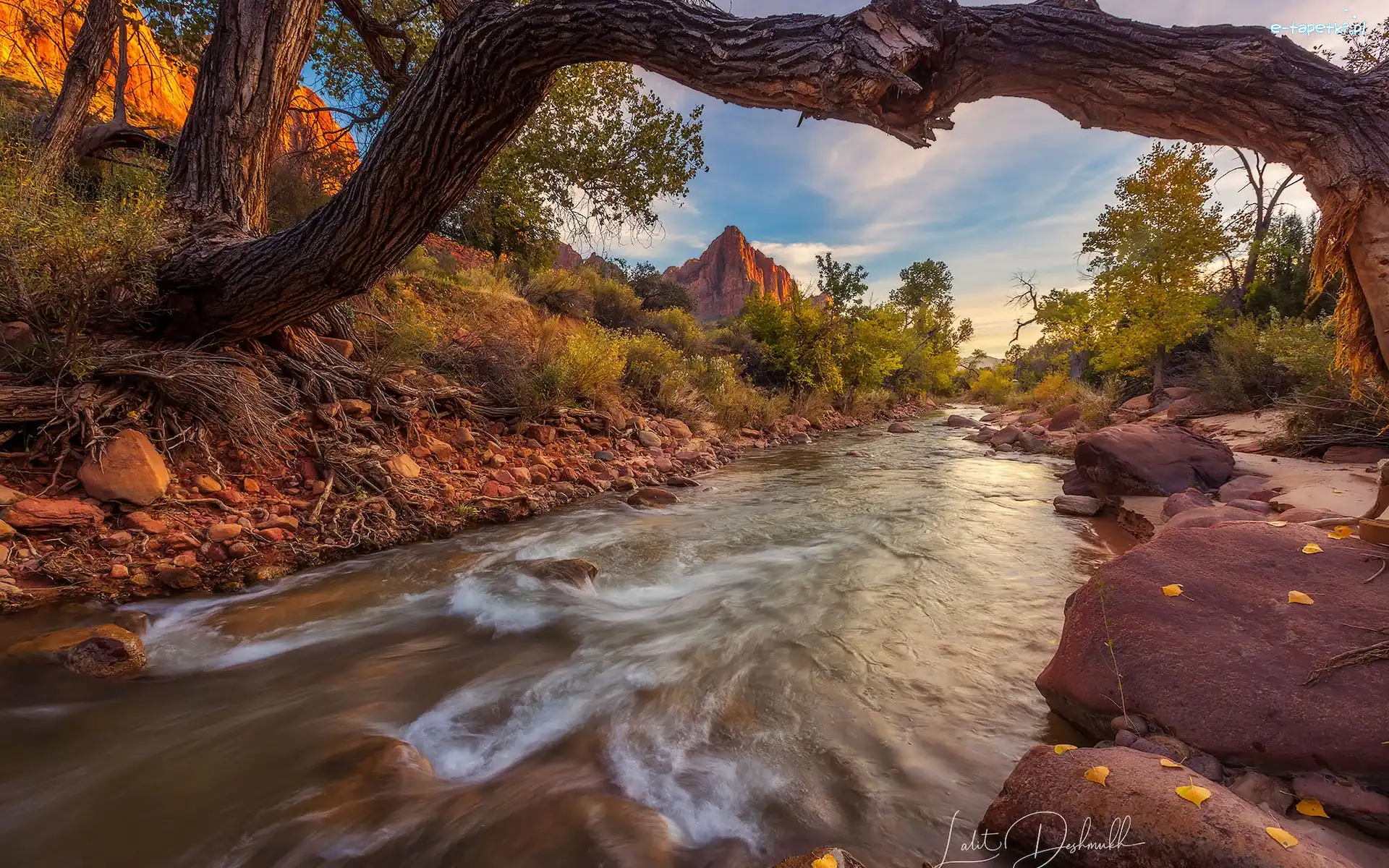 Góra, Park Narodowy Zion, Rzeka, Drzewa, Utah, Stany Zjednoczone