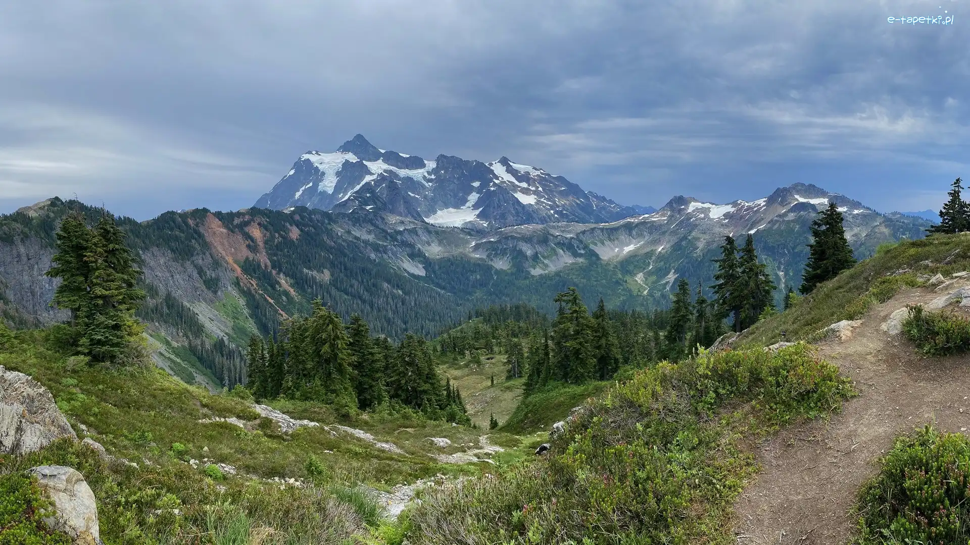 Drzewa, Góry Mount Shuksan, Las, Park Narodowy Północnych Gór Kaskadowych, Stan Waszyngton, Stany Zjednoczone