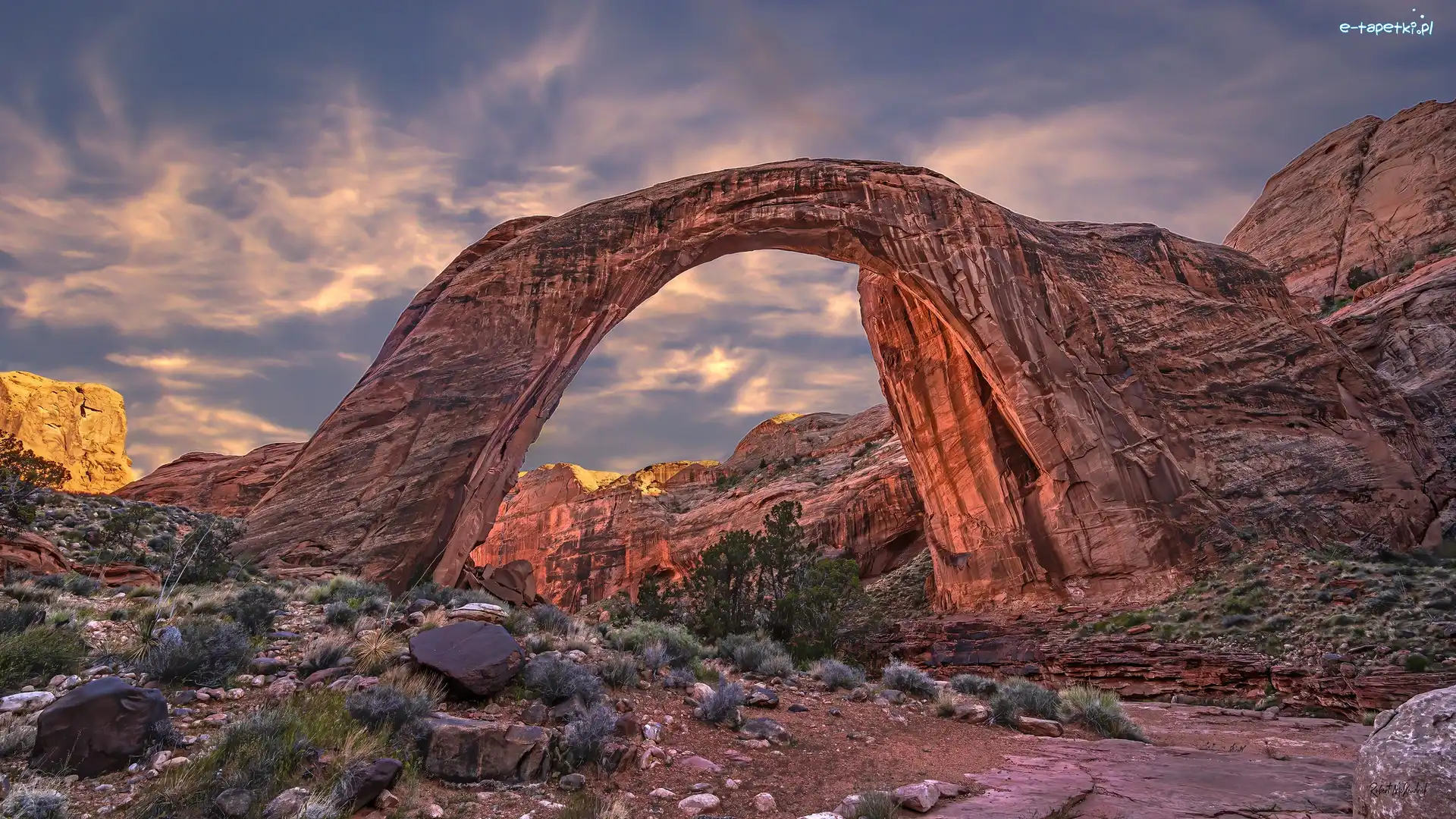 Stany Zjednoczone, Kamienie, Rośliny, Łuk skalny, Skały, Utah, Rainbow Bridge