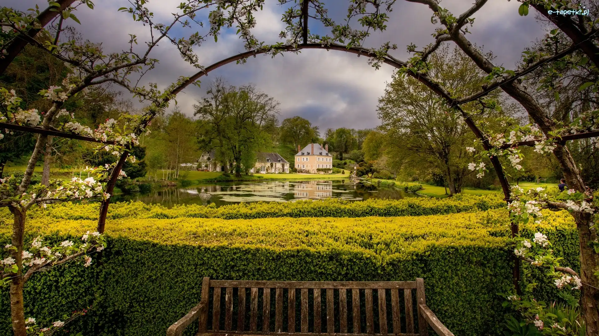 Domy, Pergola, Kwitnące, Ogród, Ławka, Staw, Drzewa