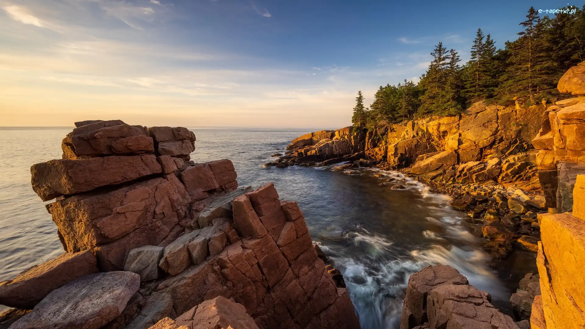 Stany Zjednoczone, Drzewa, Sosny, Skały, Morze, Maine, Park Narodowy Acadia
