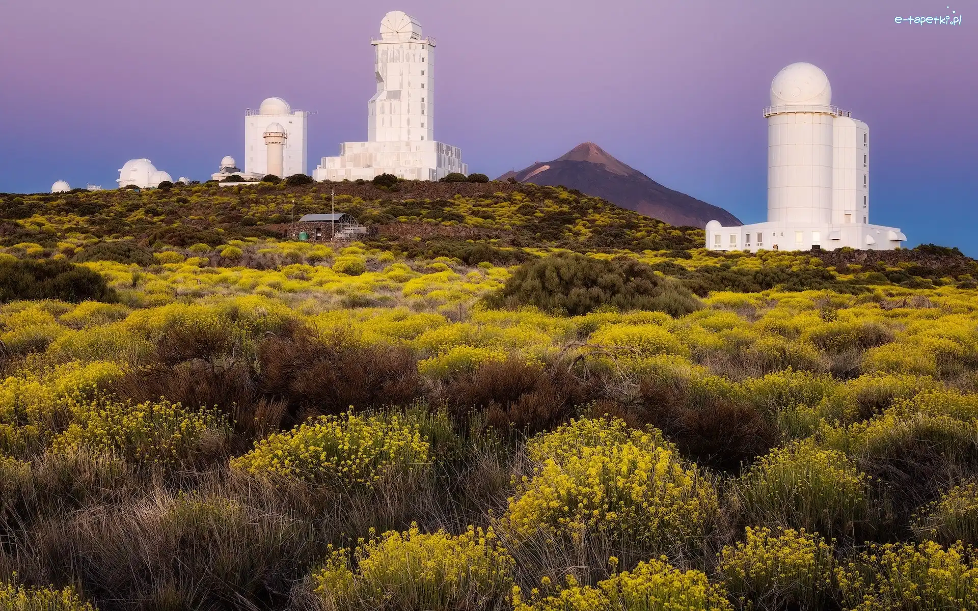 Obserwatorium, Góra, Teide, Trawy Budowla, Teneryfa, Hiszpania