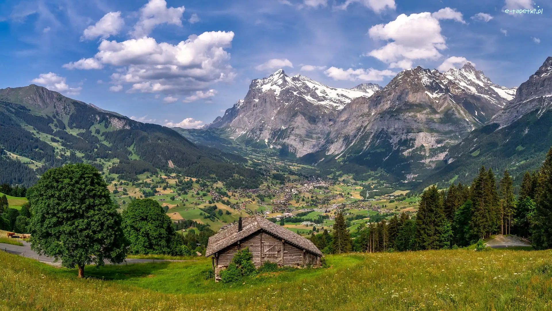 Szwajcaria, Alpy, Dom, Góry, Lato, Grindelwald, Dolina
