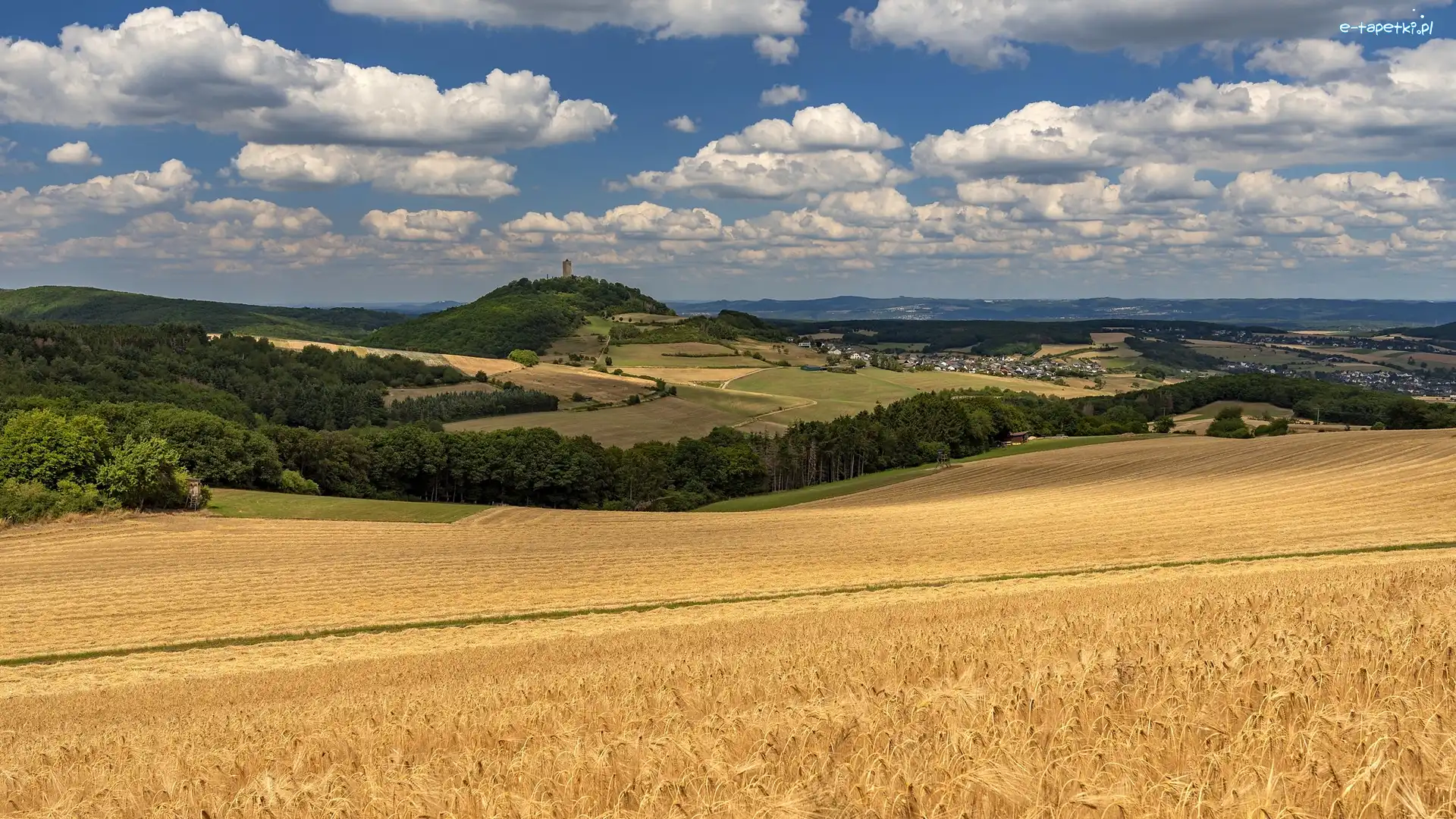 Wzgórza, Pole, Lato
