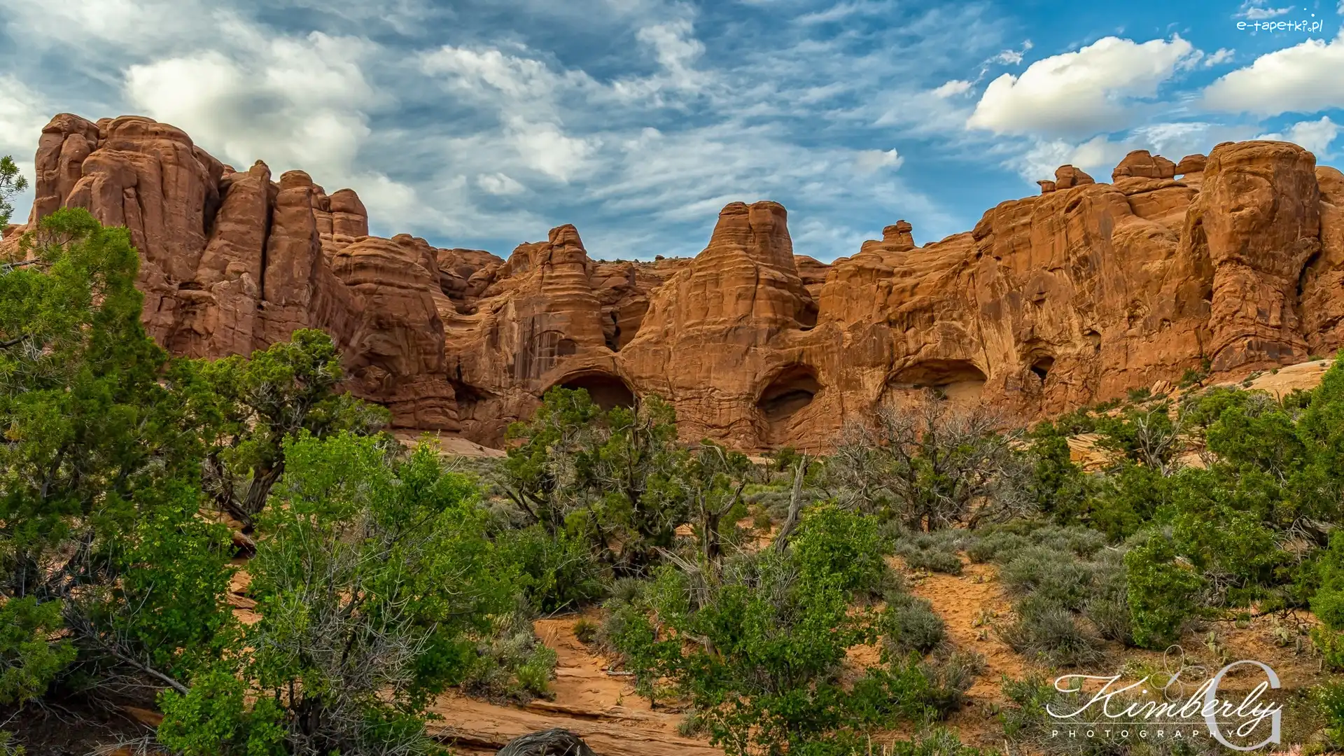 Utah, Krzewy, Park Narodowy Arches, Stany Zjednoczone, Skały, Góry