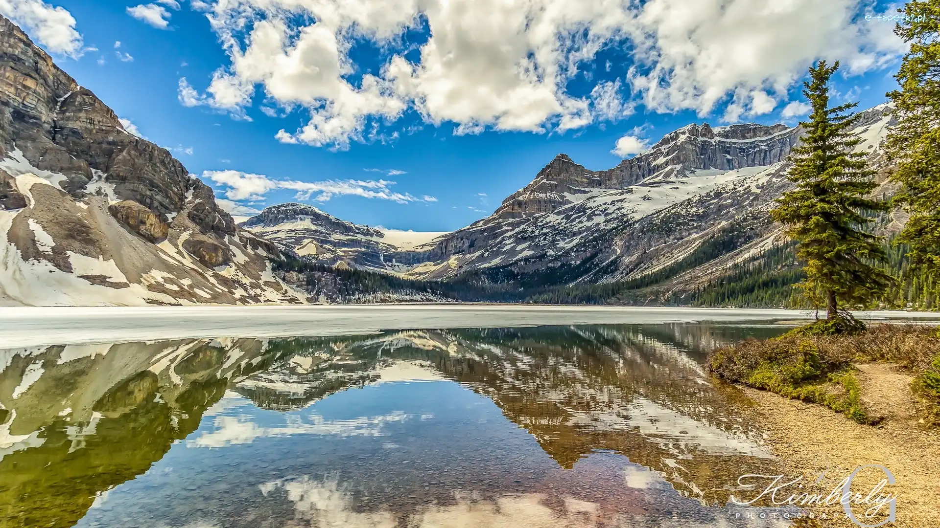 Kanada, Bow Lake, Drzewa, Jezioro, Góry, Park Narodowy Banff, Odbicie