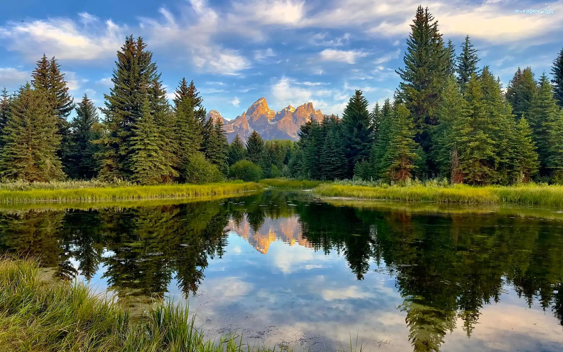 Odbie, Stany Zjednoczone, Góry, Wyoming, Park Narodowy Grand Teton, Drzewa, Rzeka
