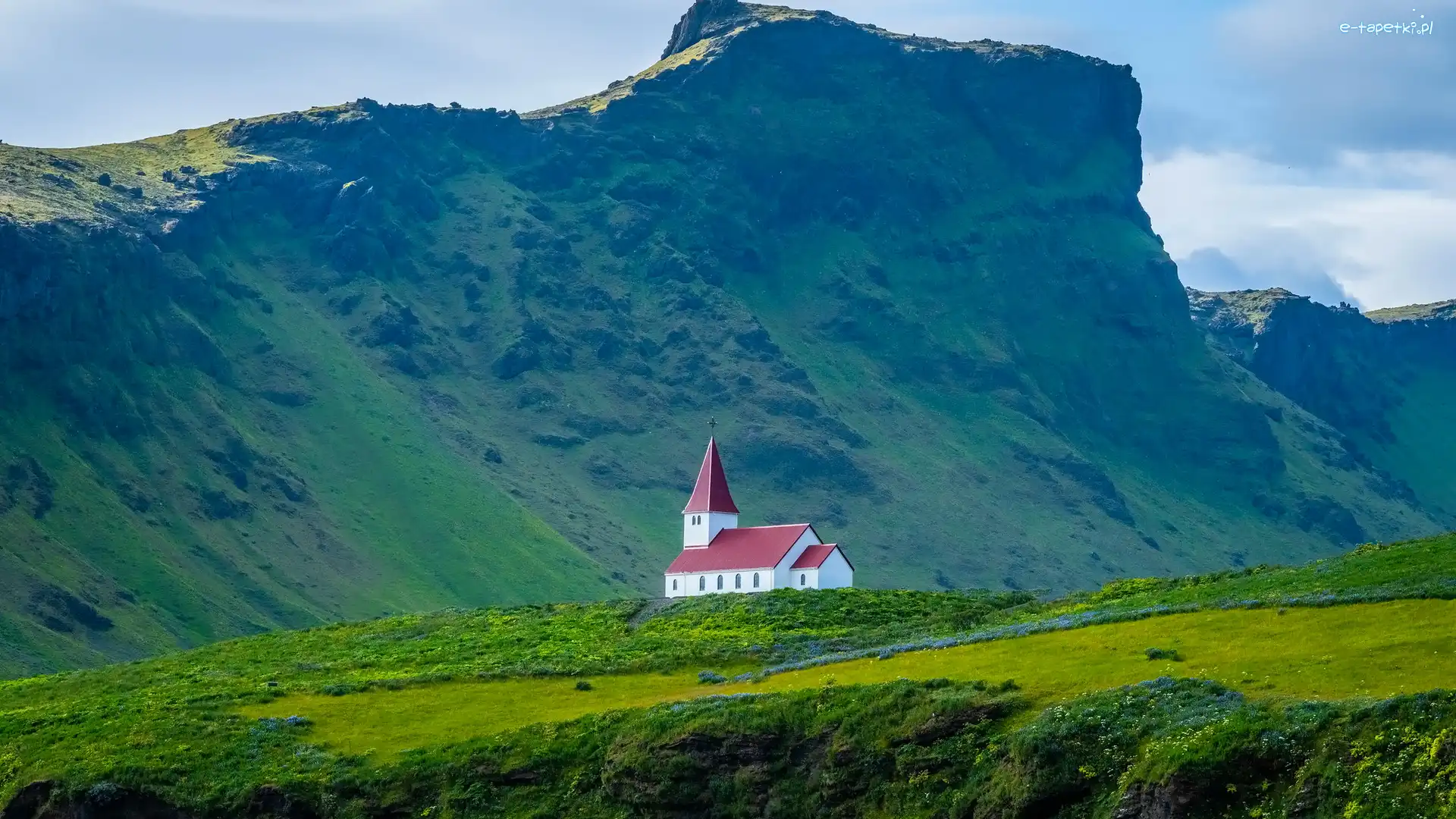 Vik i Myrdal, Kwiaty, Kościół, Islandia, Trawa, Góry