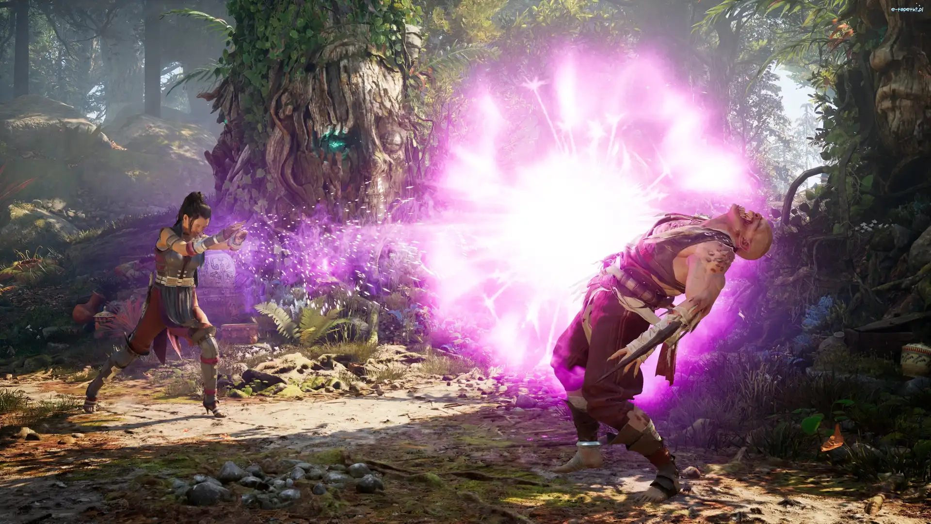 Postacie, Mortal Kombat 1, Gra, Dwie