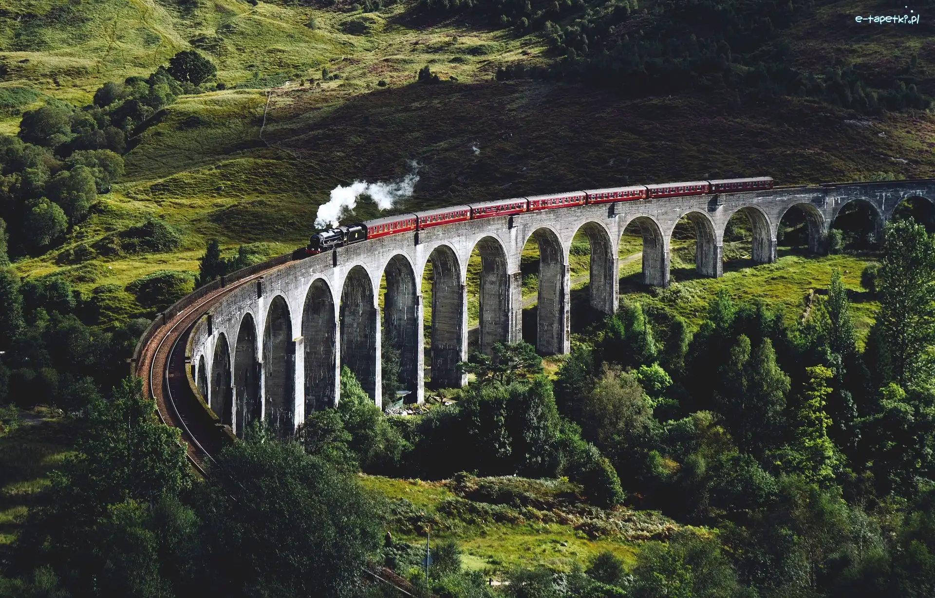 Pociąg, Dolina, Wiadukt Glenfinnan, Roślinność, Glenfinnan, Szkocja