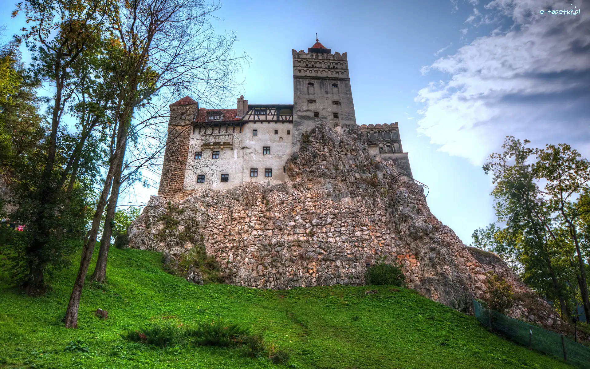 Trawa, Zamek Bran, Wzgórze, Drzewa, Bran, Rumunia