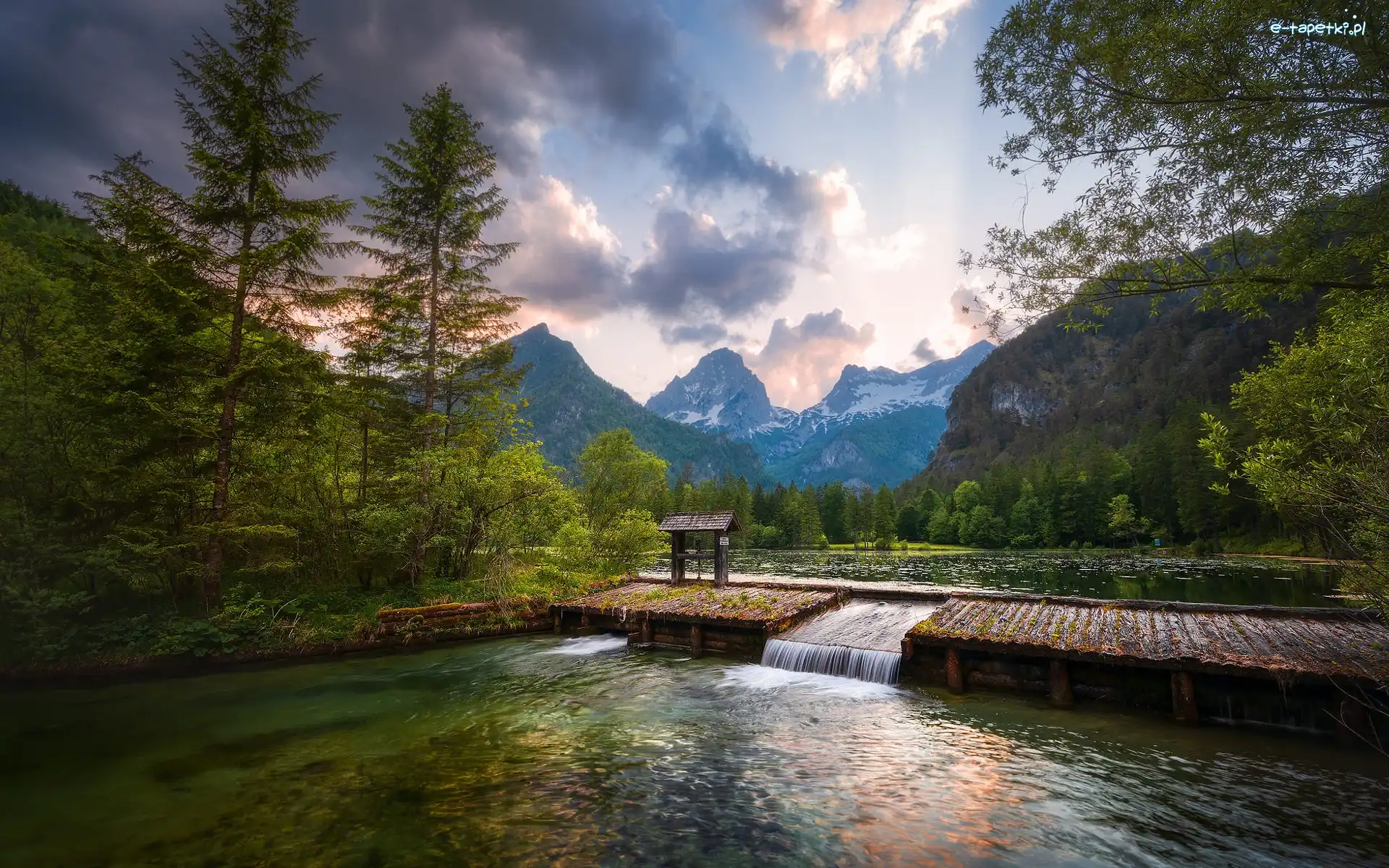 Hinterstoder, Drzewa, Jezioro Schiederweiher, Austria, Alpy, Góry