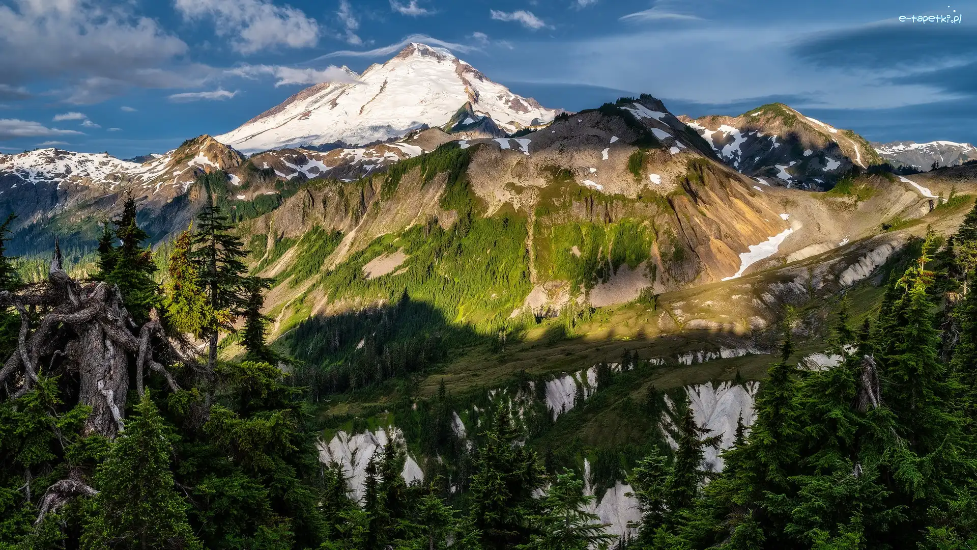 Stan Waszyngton, Mount Baker, Drzewa, Stany Zjednoczone, Szczyt, Góry Kaskadowe