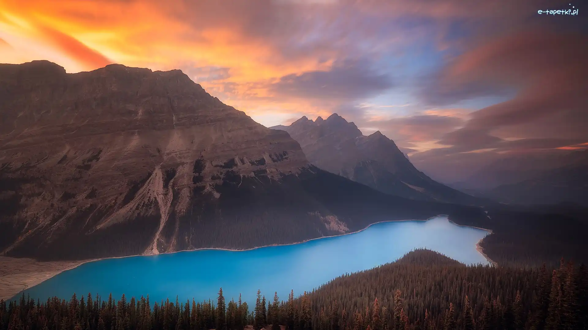 Lasy, Canadian Rockies, Peyto Lake, Jezioro, Park Narodowy Banff, Kanada, Alberta, Góry, Chmury