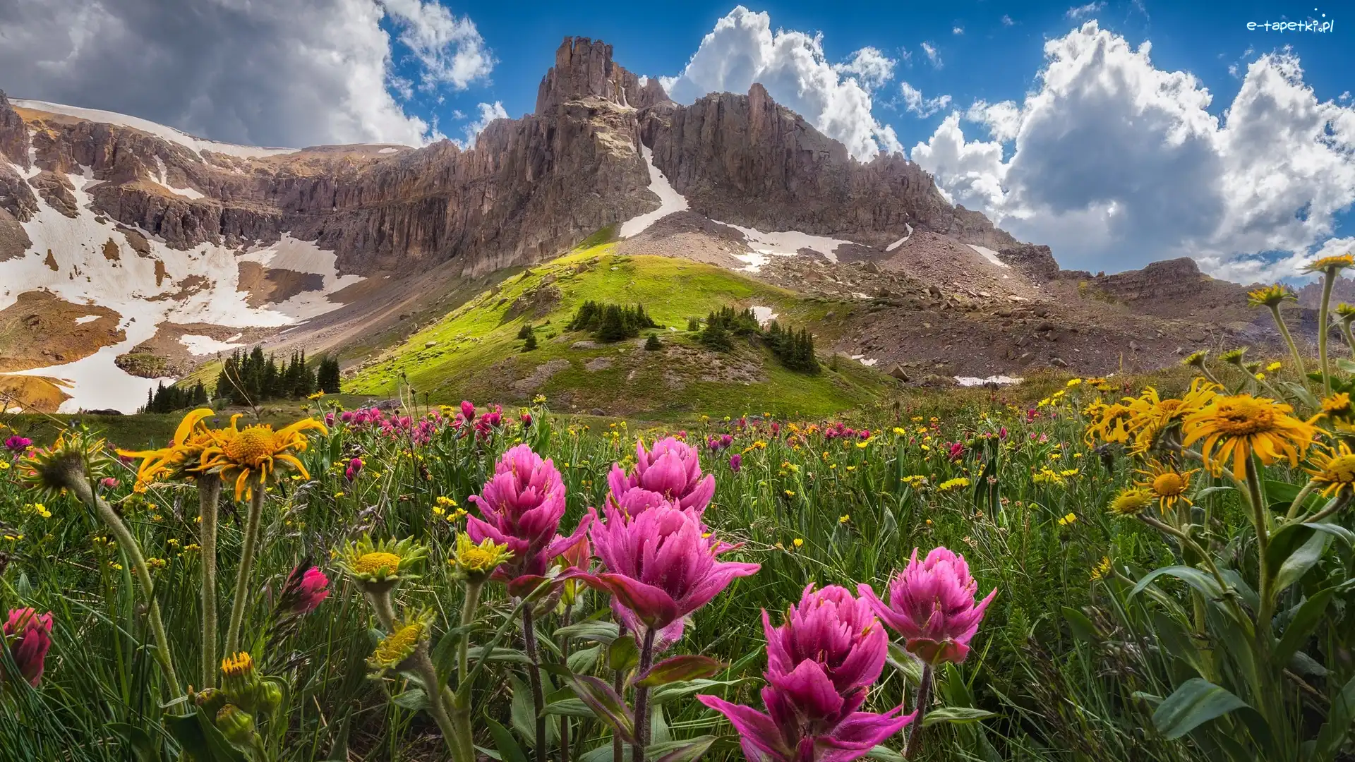 Góry, Łąka, San Juan Mountains, Stany Zjednoczone, Kolorado