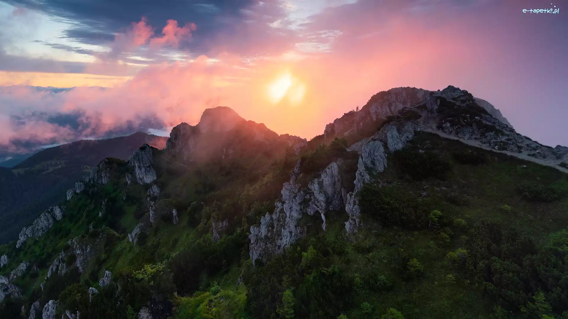 Mgła, Karpaty, Wschód słońca, Słowacja, Mała Fatra, Góry